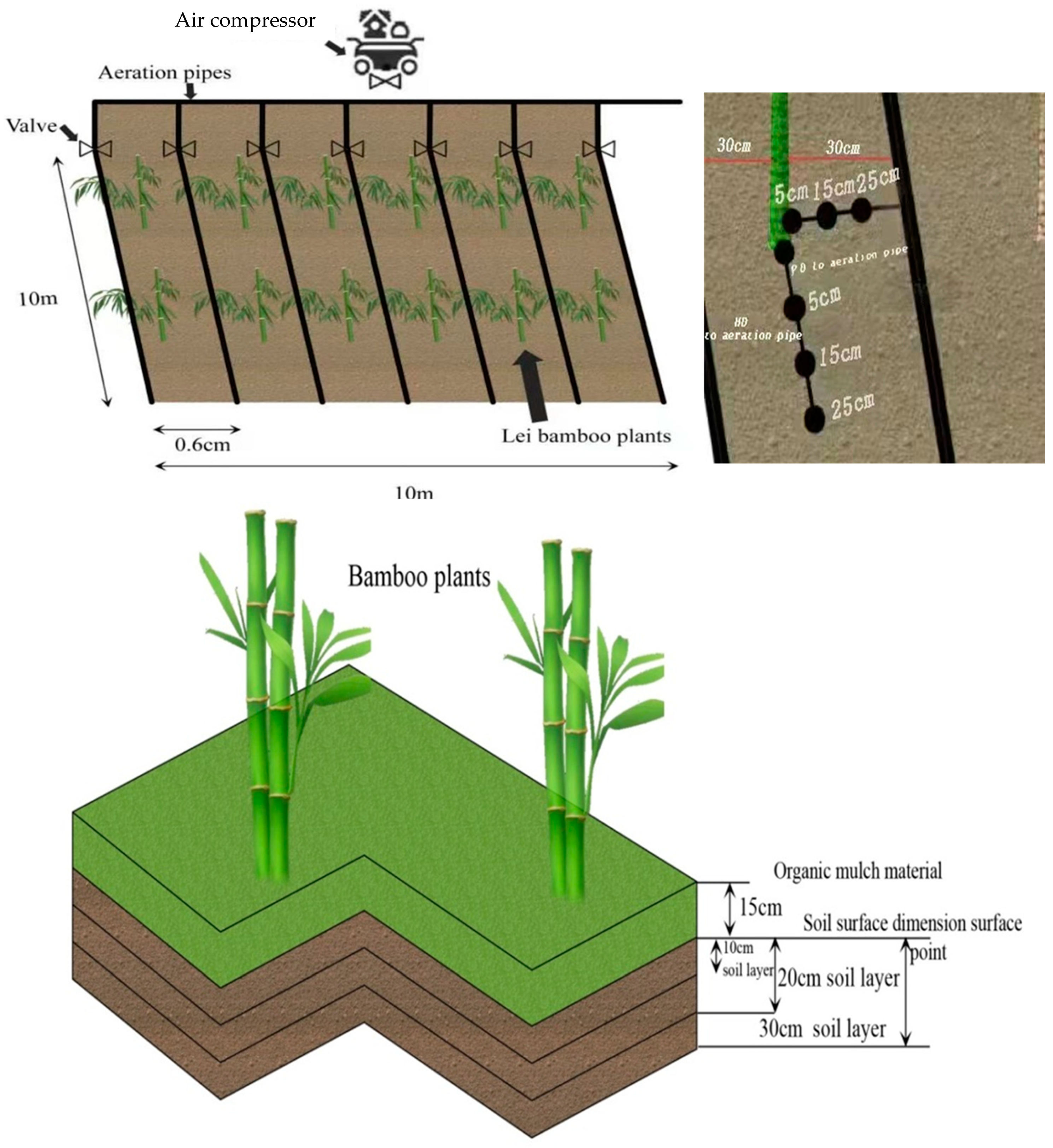 Agriculture 13 00536 g001