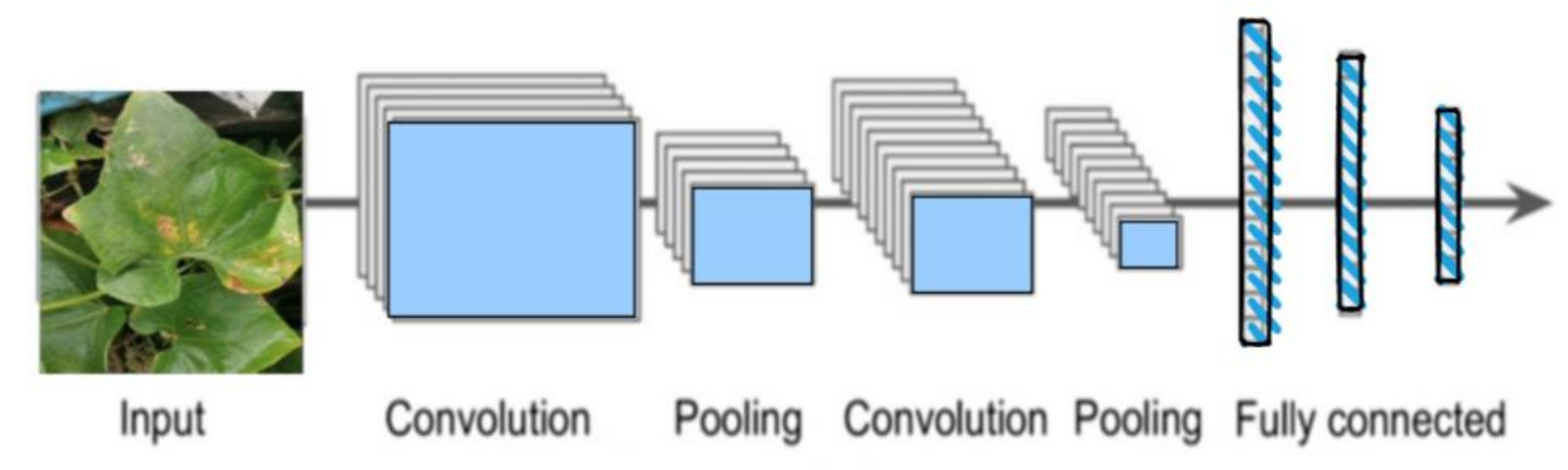 Agriculture | Free Full-Text | A Survey on Deep Learning and Its Impact ...