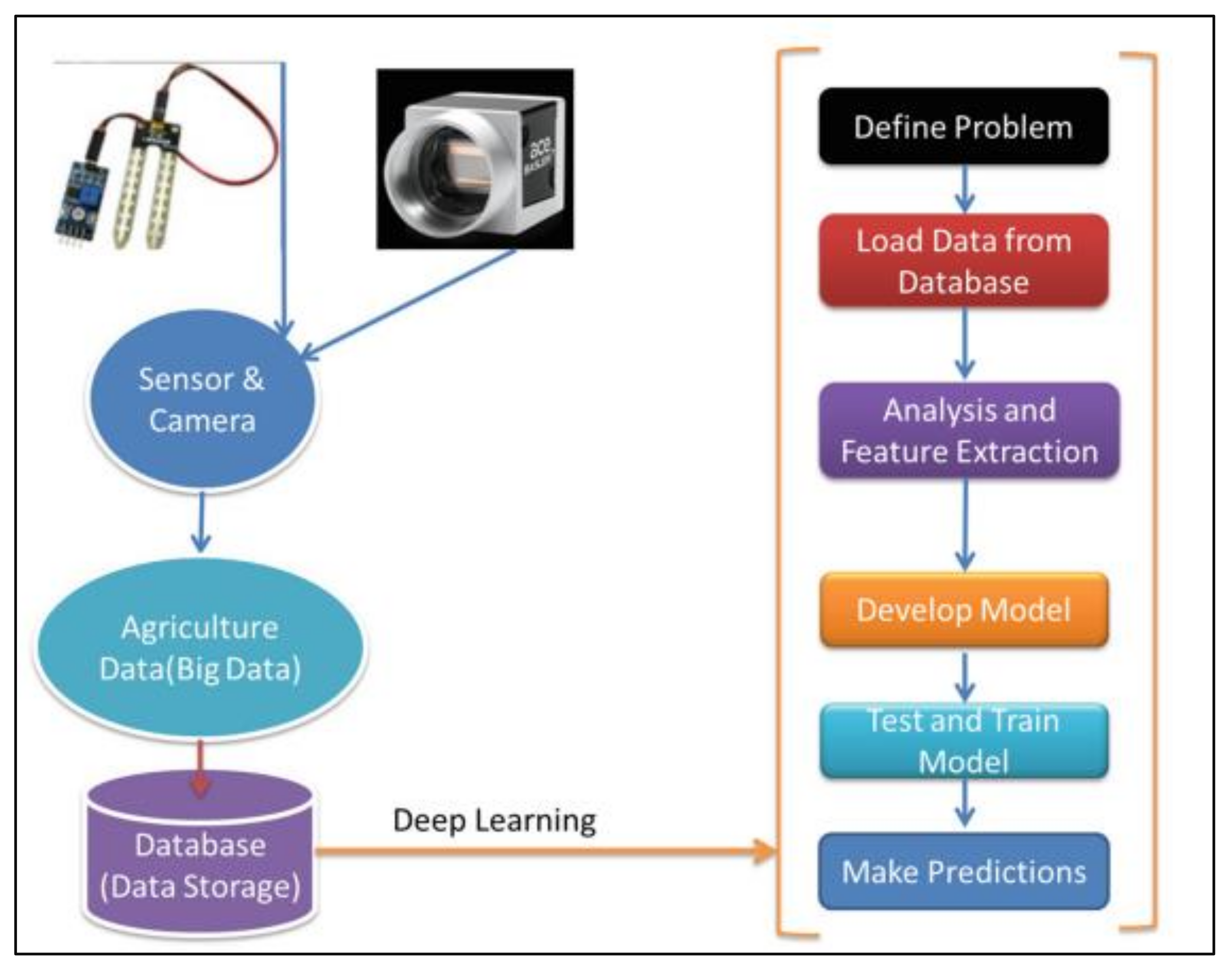 Agriculture | Free Full-Text | A Survey on Deep Learning and Its Impact ...