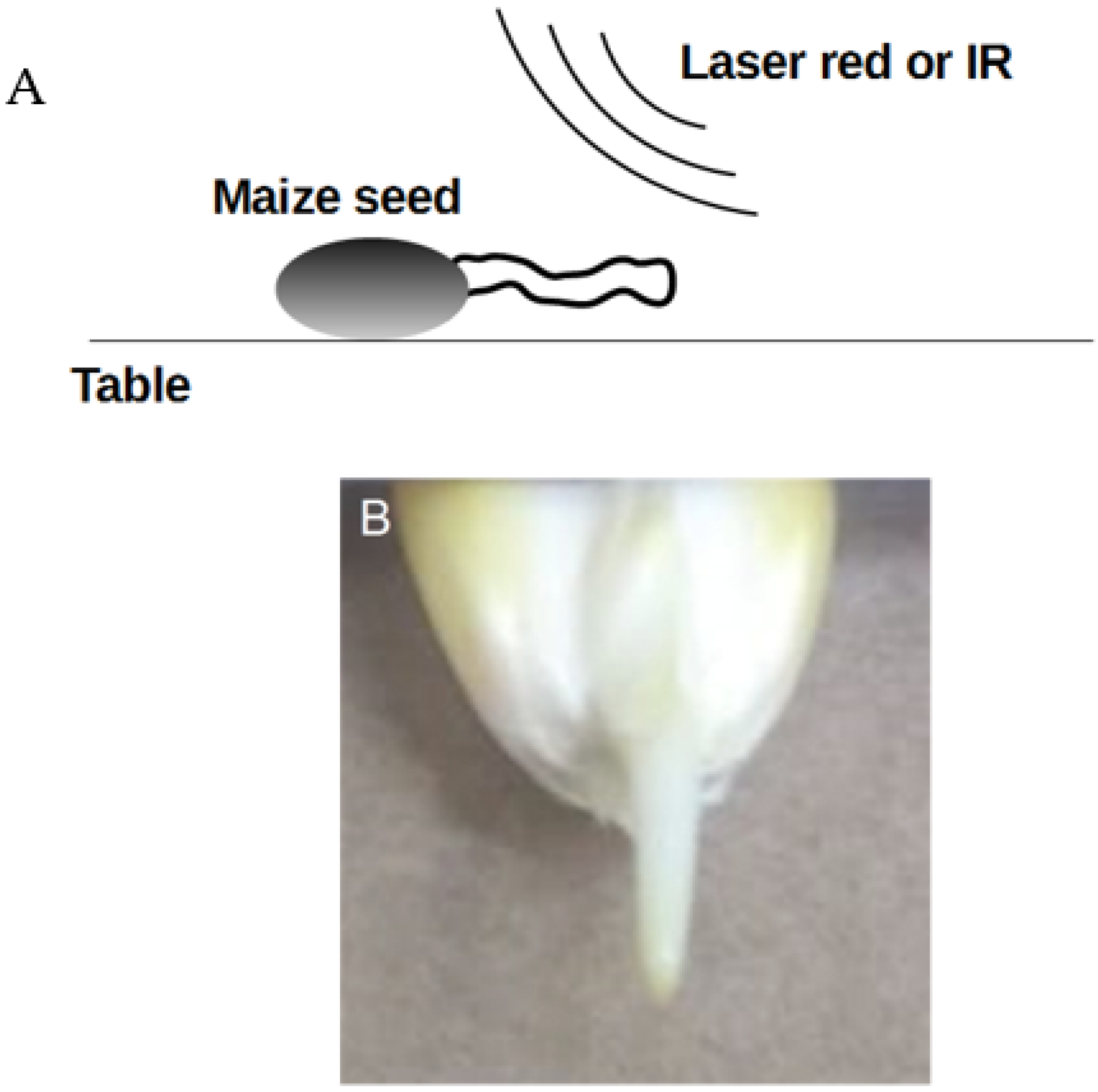 Agriculture 13 00546 g002