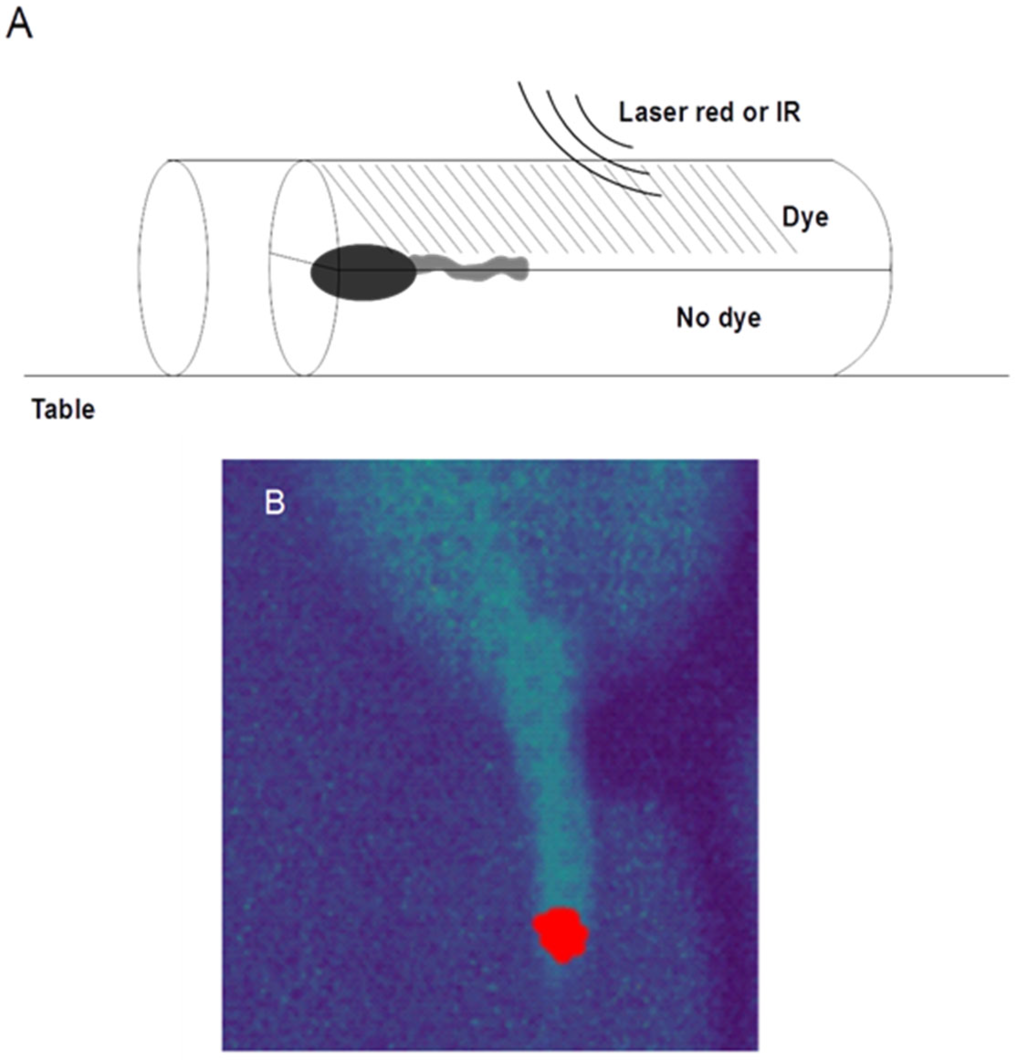 Agriculture 13 00546 g003