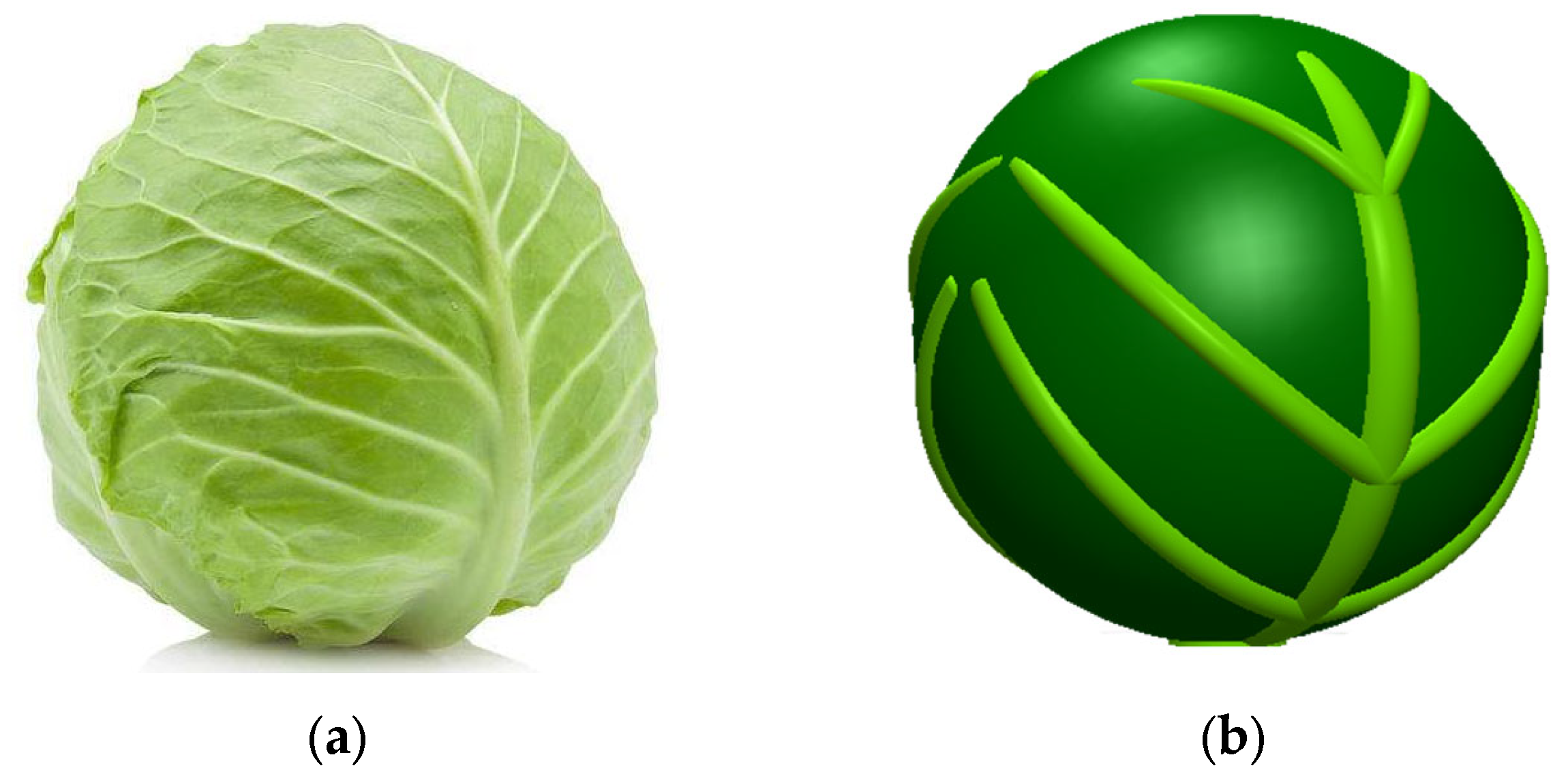 Agriculture 13 00555 g001 Agriculture 13 00555 g001