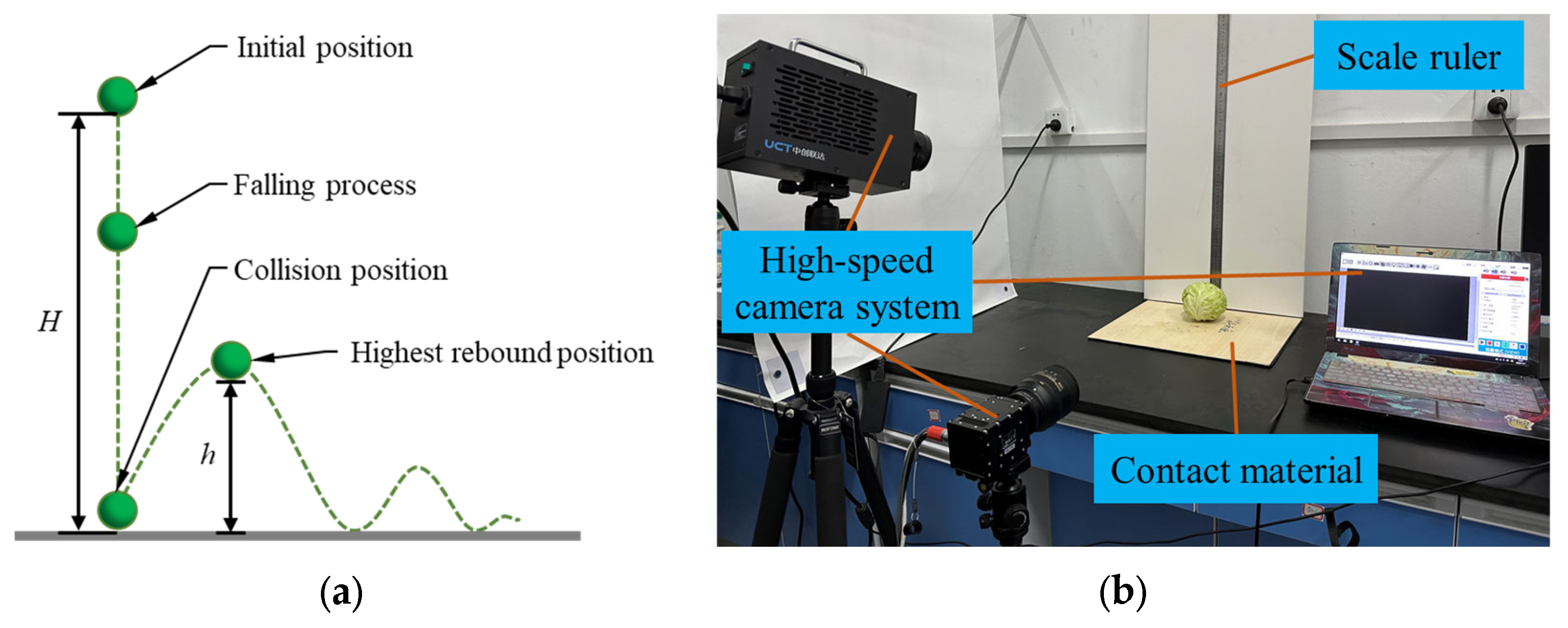 Agriculture 13 00555 g003a Agriculture 13 00555 g003a