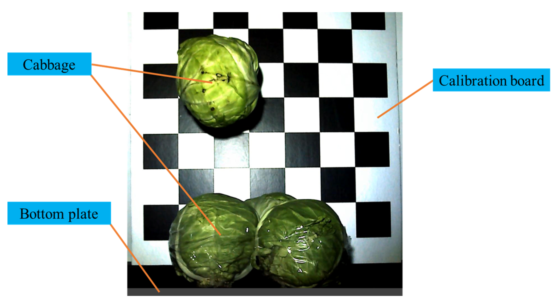 Agriculture 13 00555 g006 Agriculture 13 00555 g006