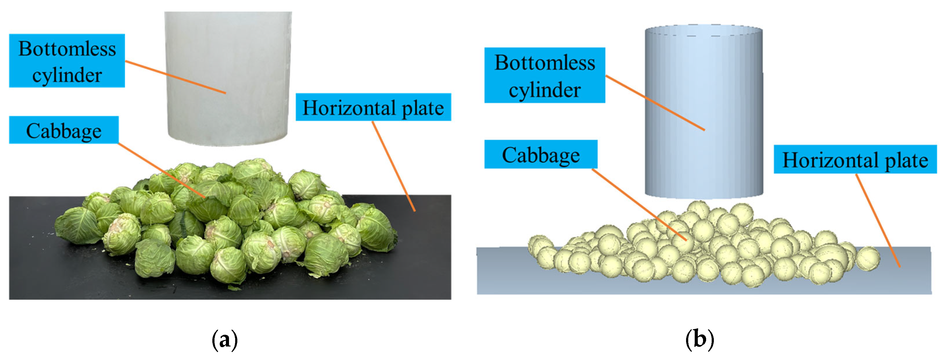 Agriculture 13 00555 g008 Agriculture 13 00555 g008