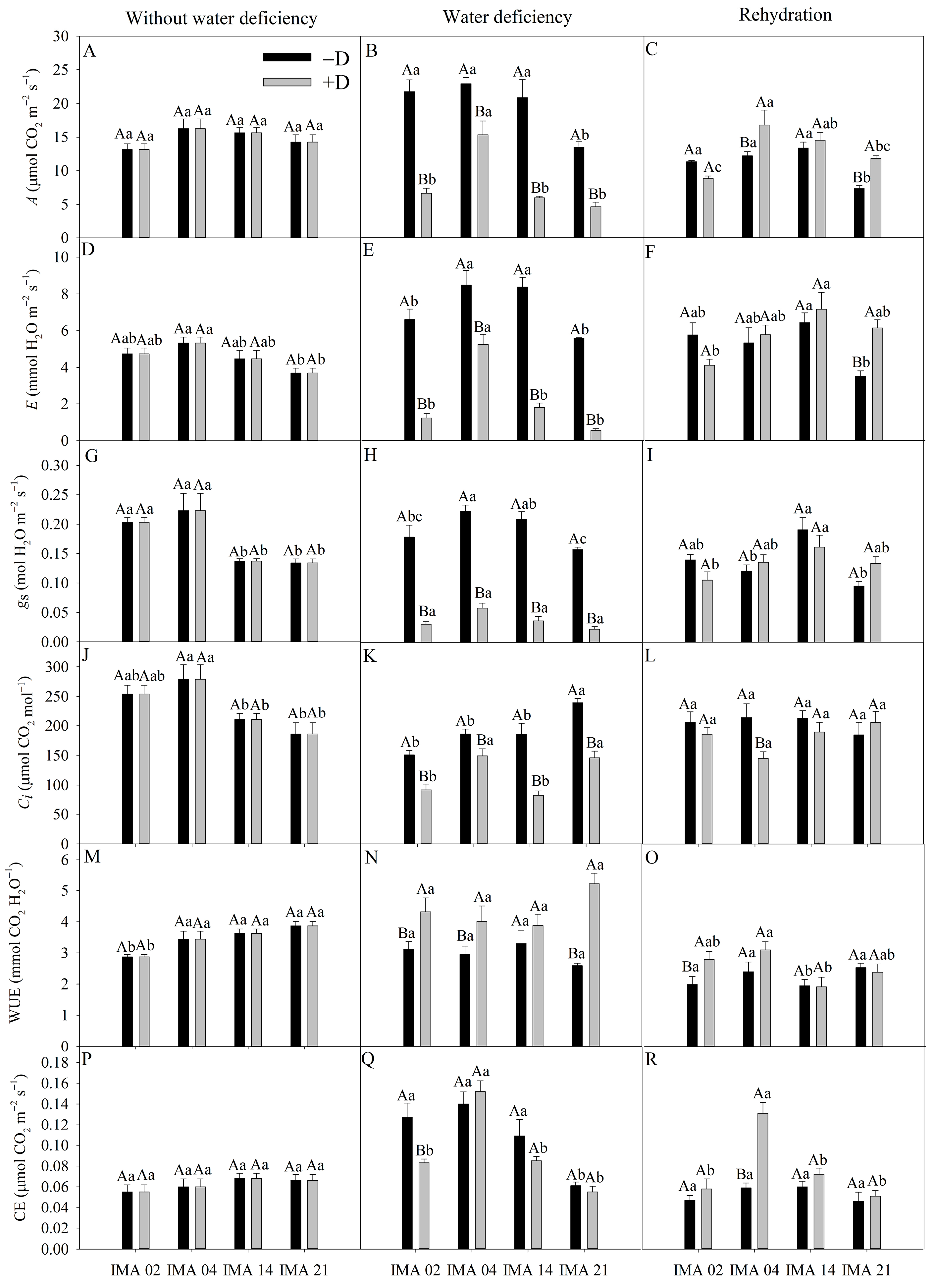 Agriculture 13 00558 g005