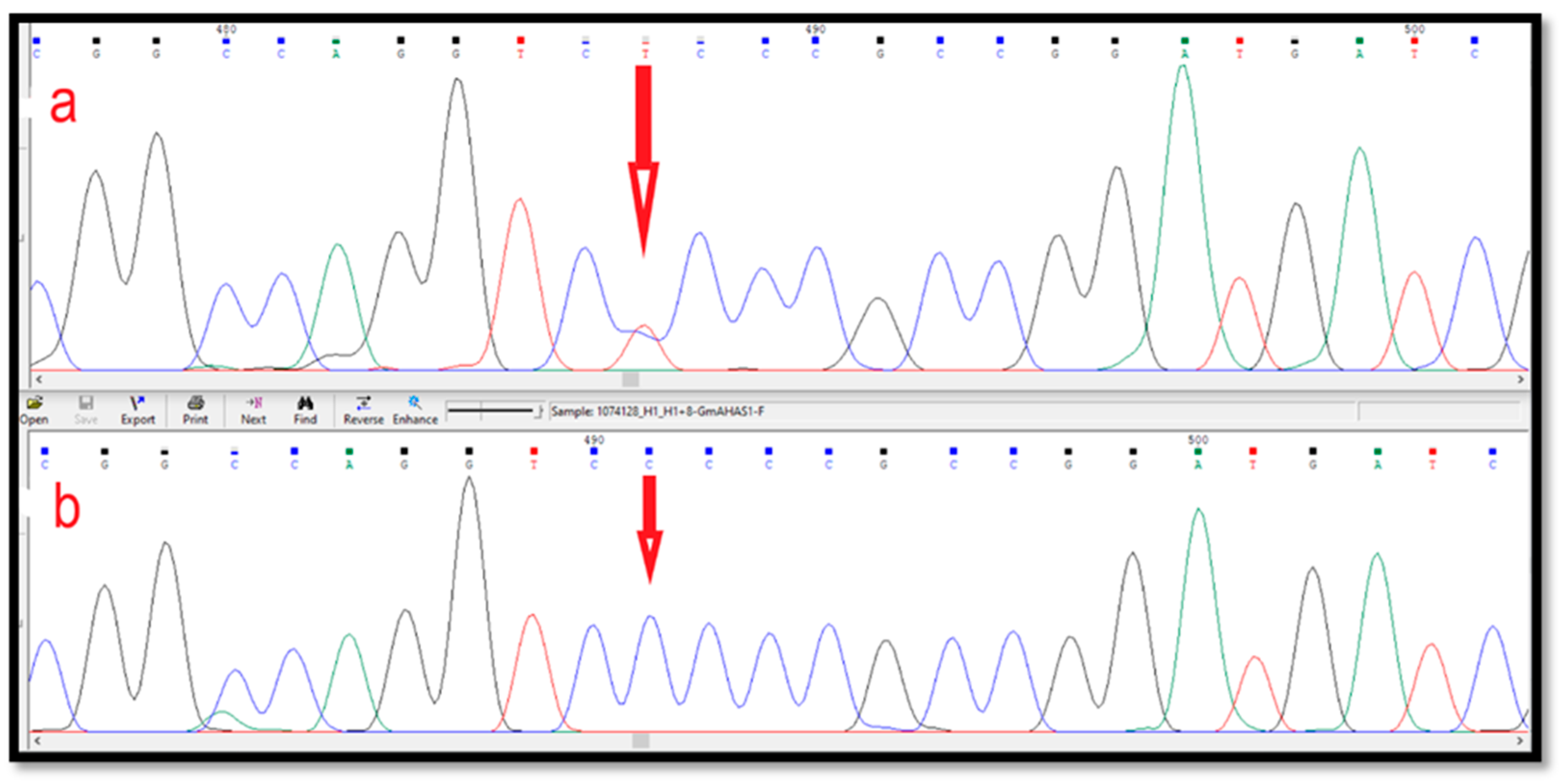 Agriculture 13 00559 g002 Agriculture 13 00559 g002