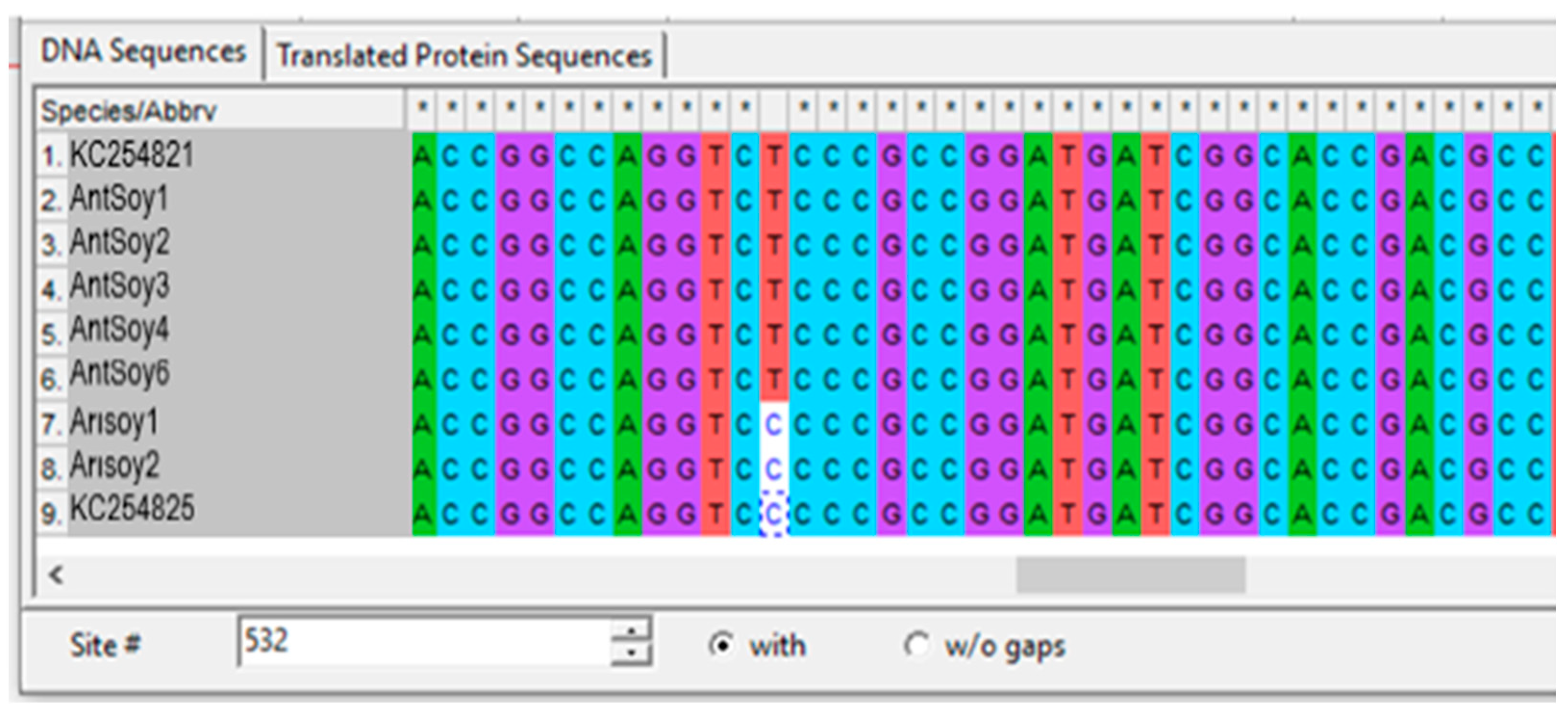Agriculture 13 00559 g003 Agriculture 13 00559 g003