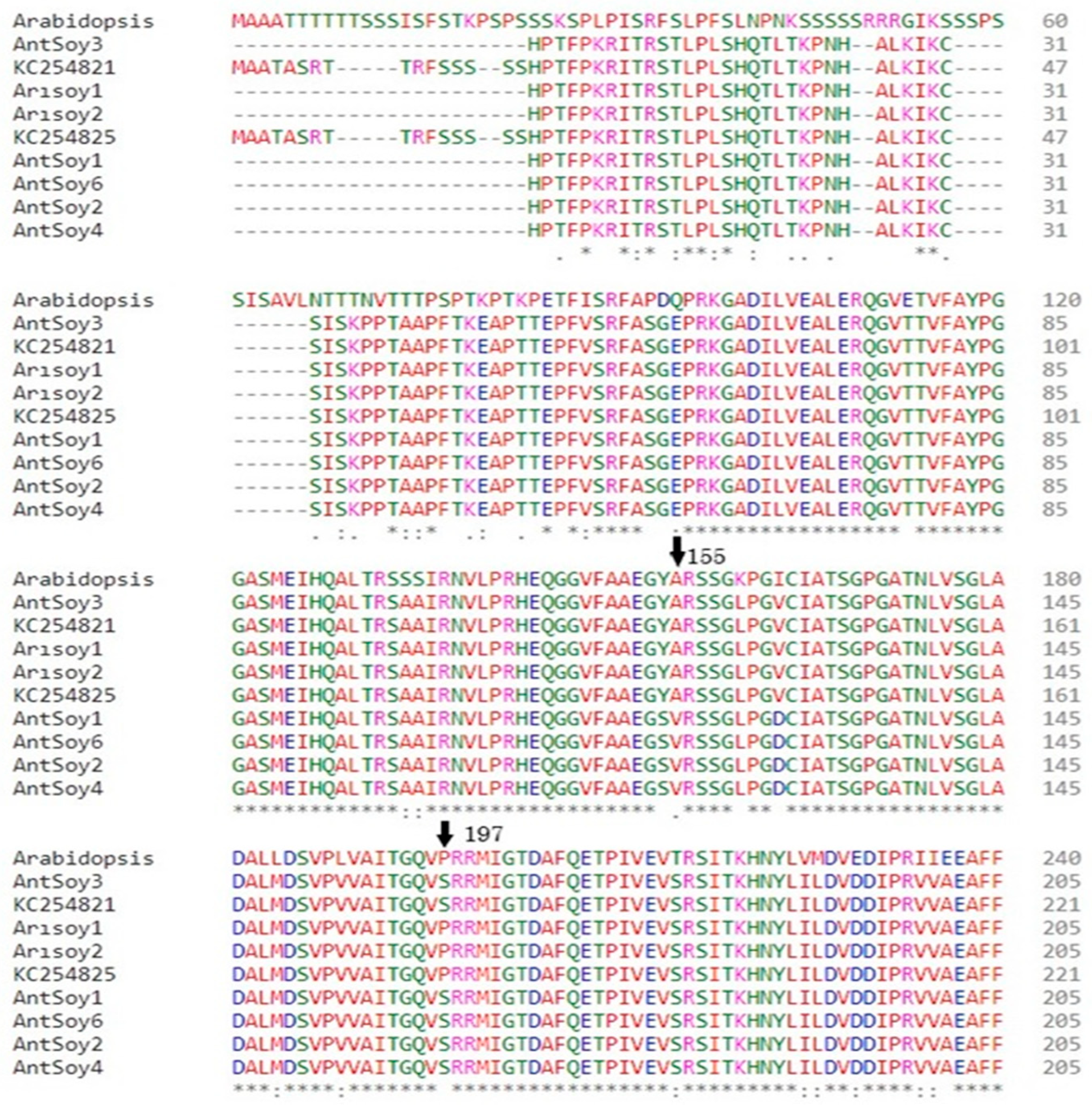Agriculture 13 00559 g004a Agriculture 13 00559 g004a