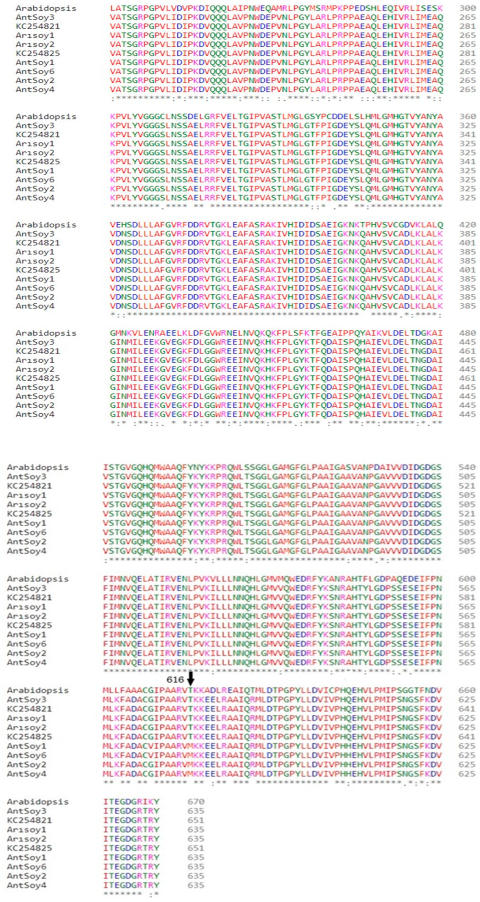 Agriculture 13 00559 g004b Agriculture 13 00559 g004b