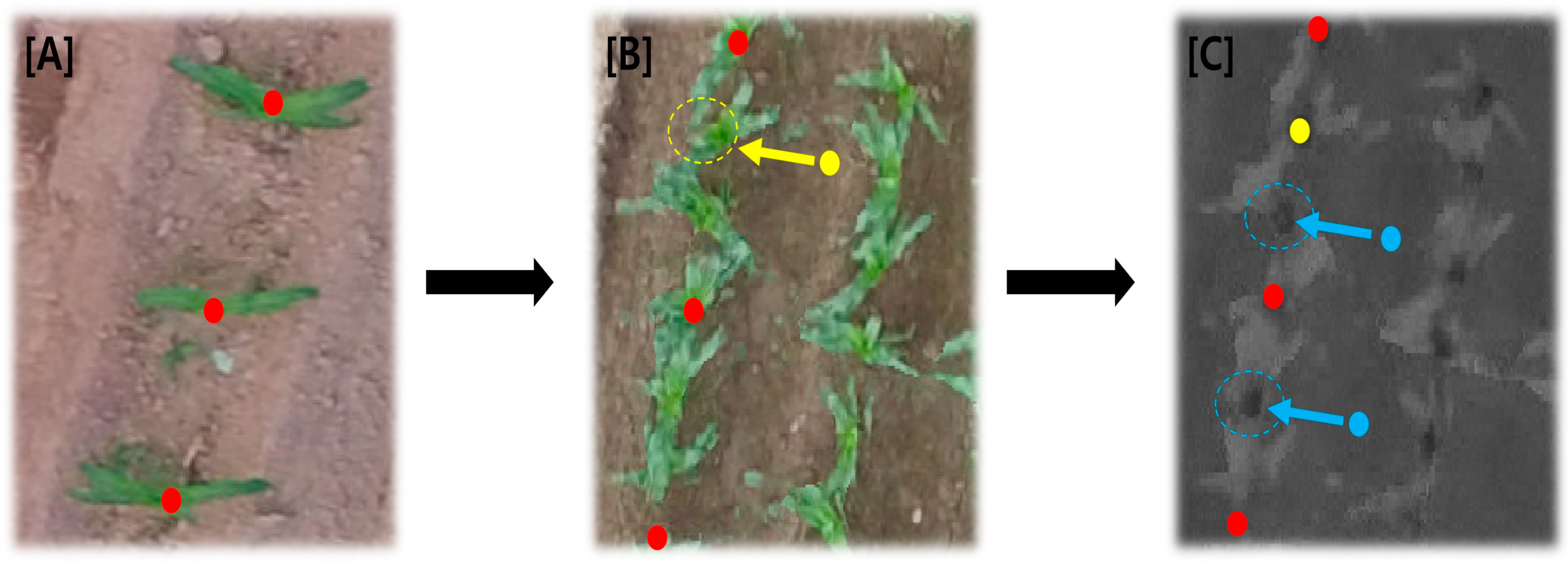 Agriculture 13 00561 g003