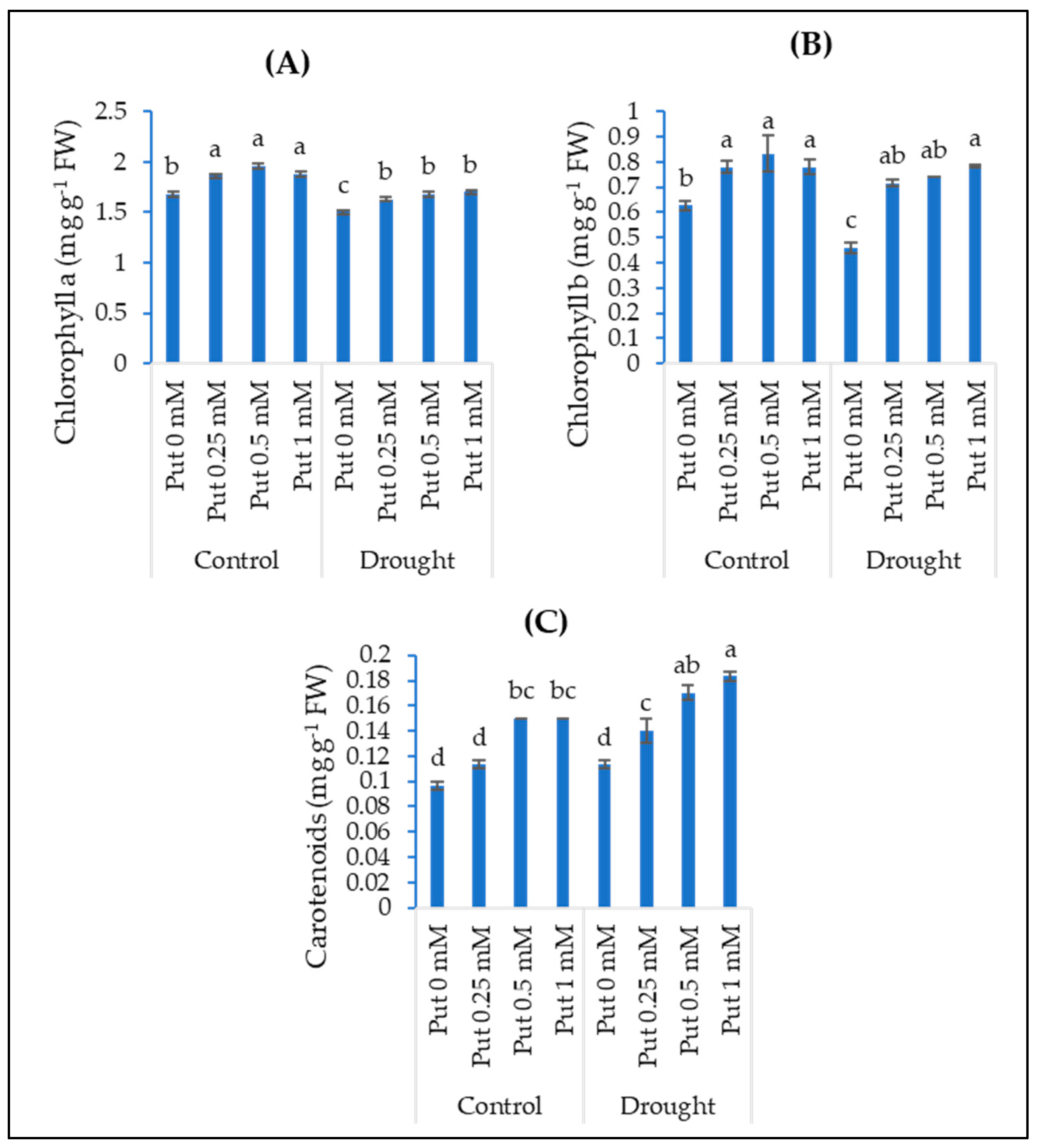 Agriculture 13 00587 g001