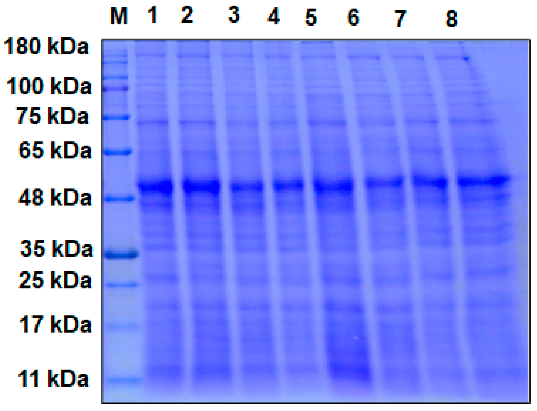 Agriculture 13 00587 g004