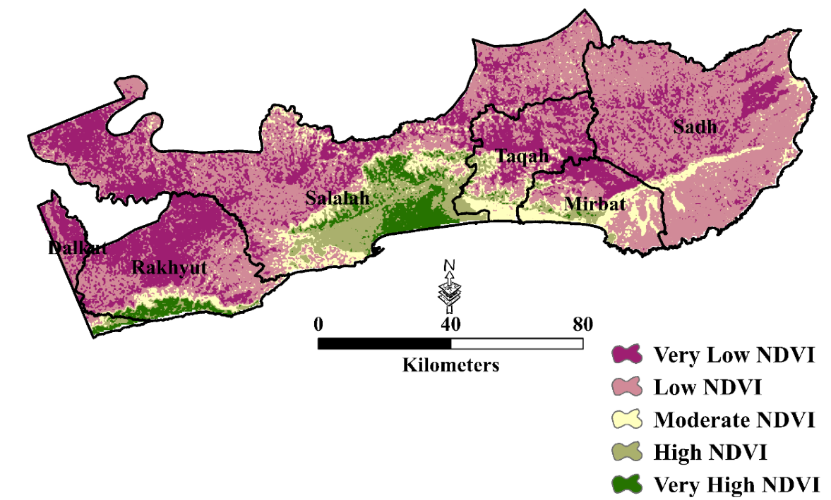 Agriculture 13 00592 g011