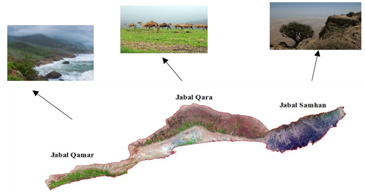 Agriculture 13 00592 g012