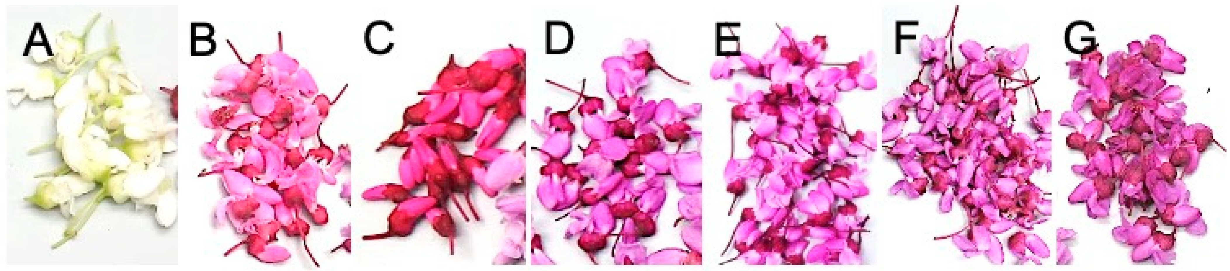 Agriculture 13 00598 g001 Agriculture 13 00598 g001