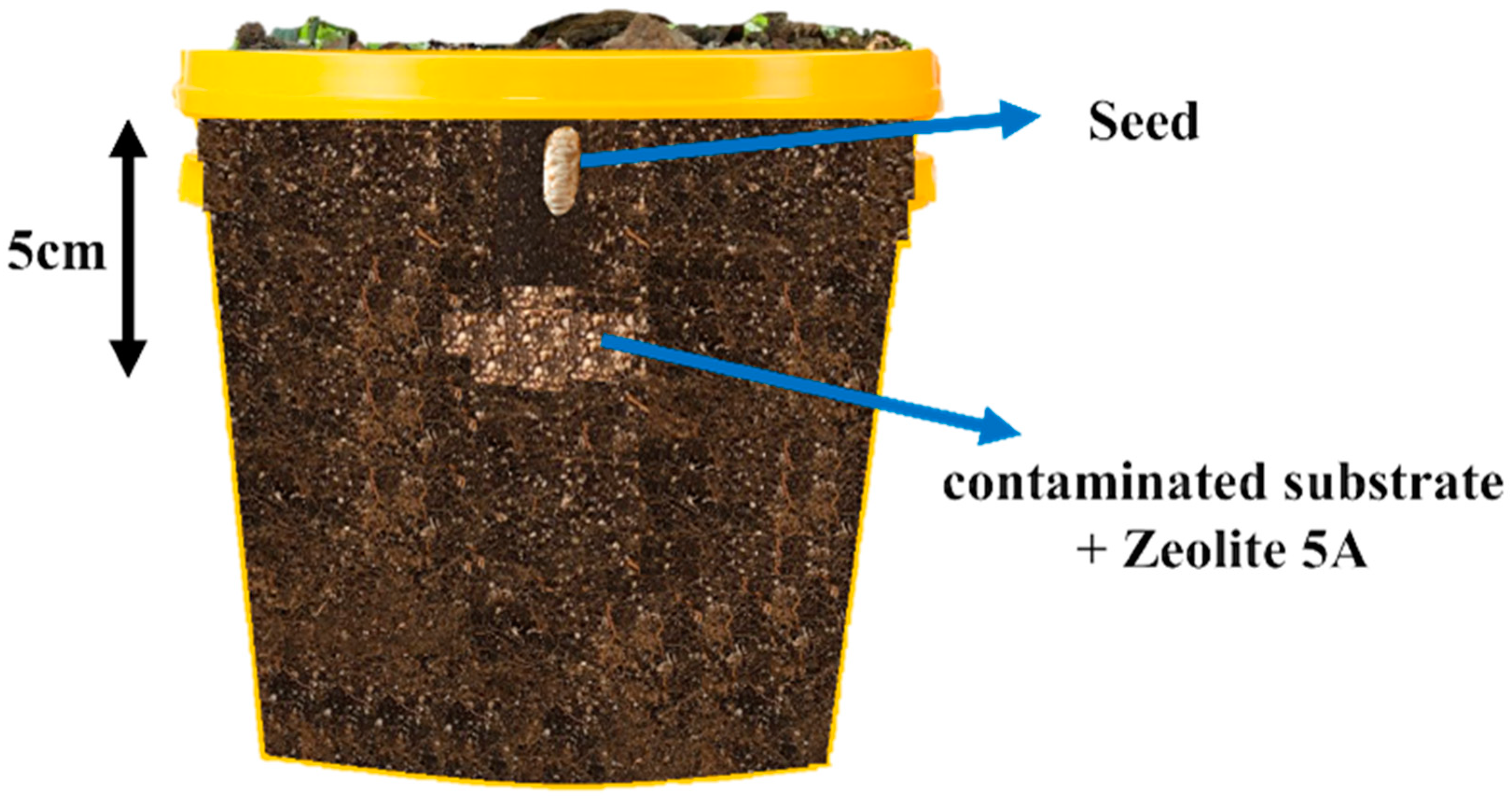 Agriculture 13 00599 g002 Agriculture 13 00599 g002