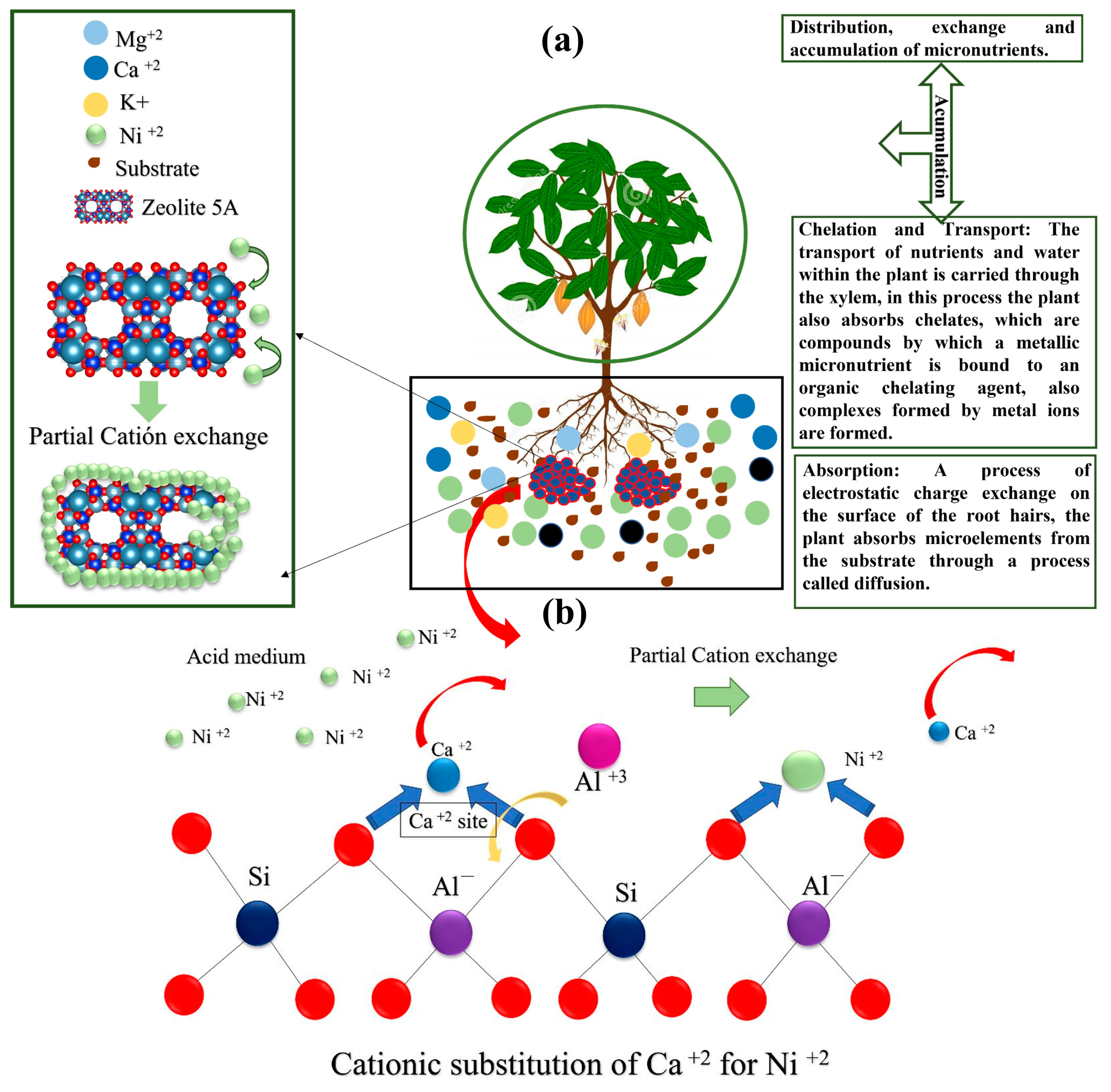 Agriculture 13 00599 g013 Agriculture 13 00599 g013