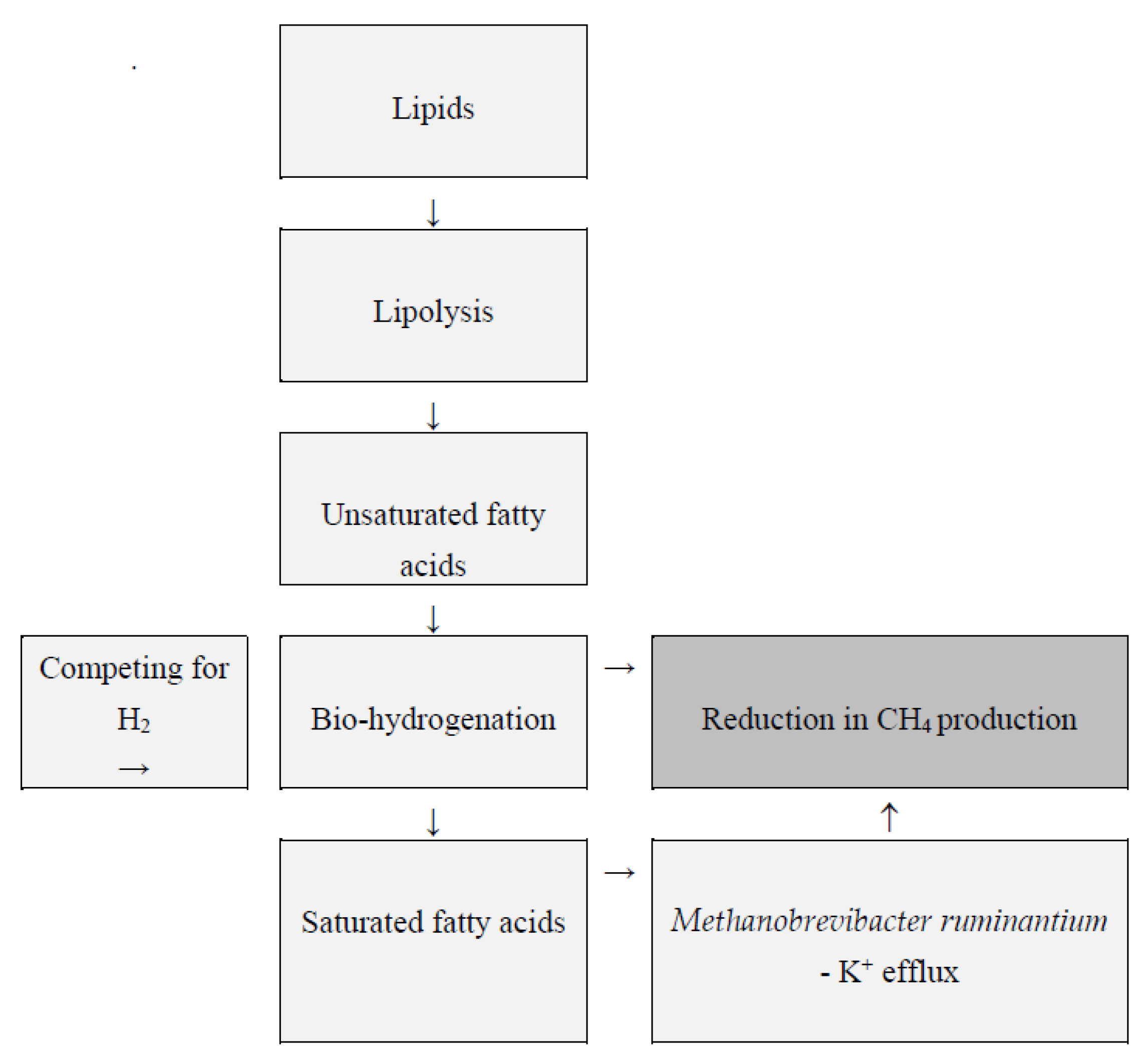 Agriculture 13 00602 g003