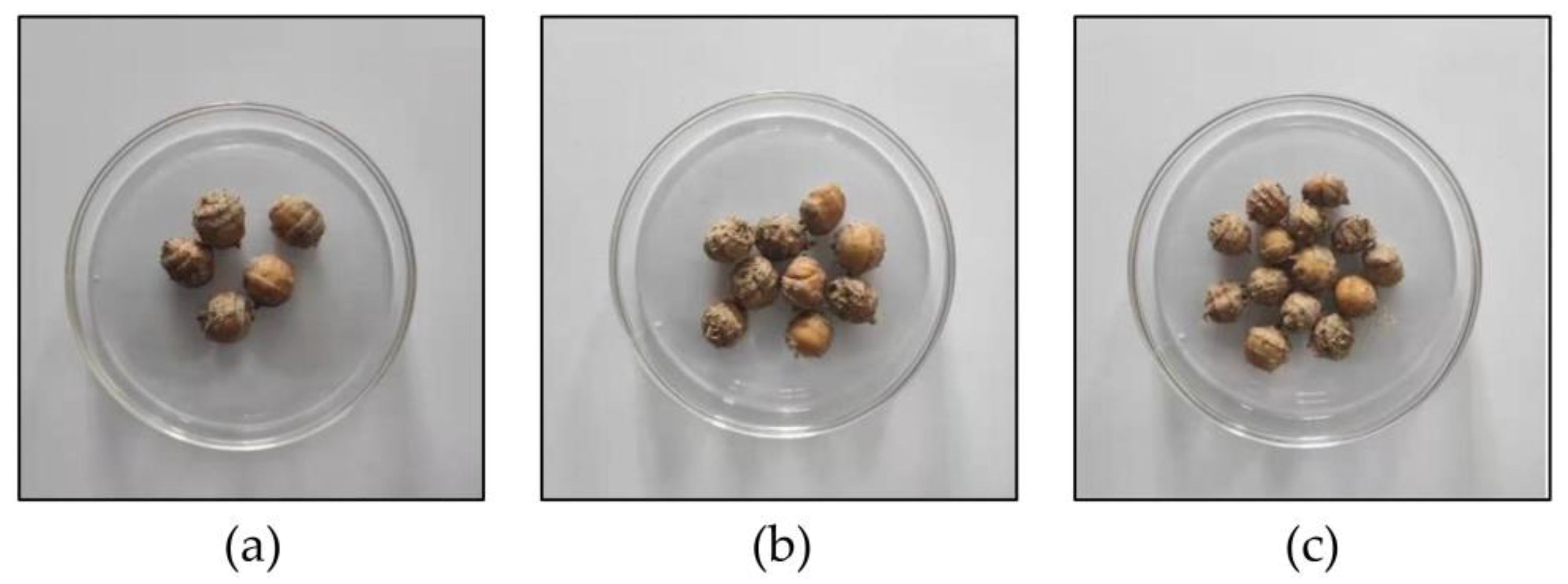 Agriculture 13 00617 g001 Agriculture 13 00617 g001