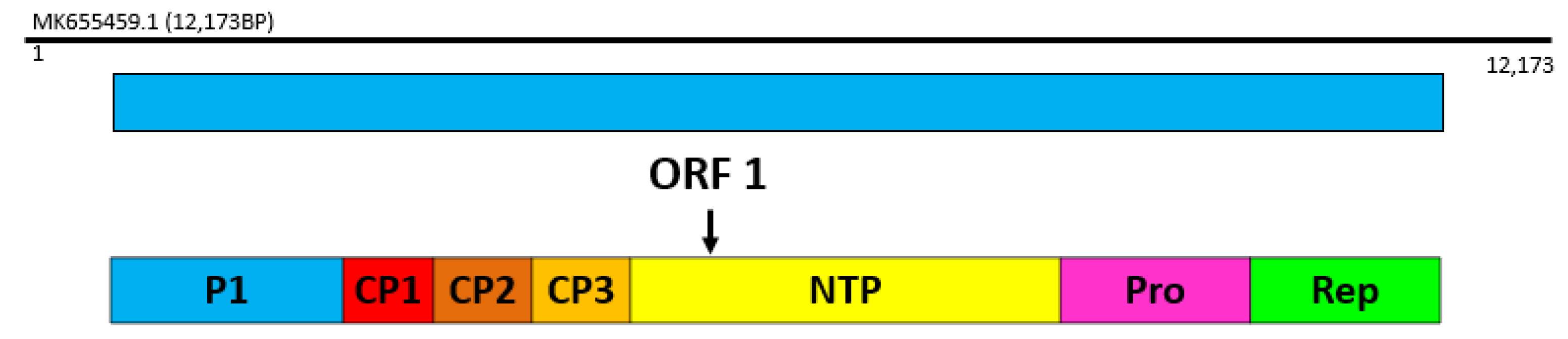 Agriculture 13 00651 g002