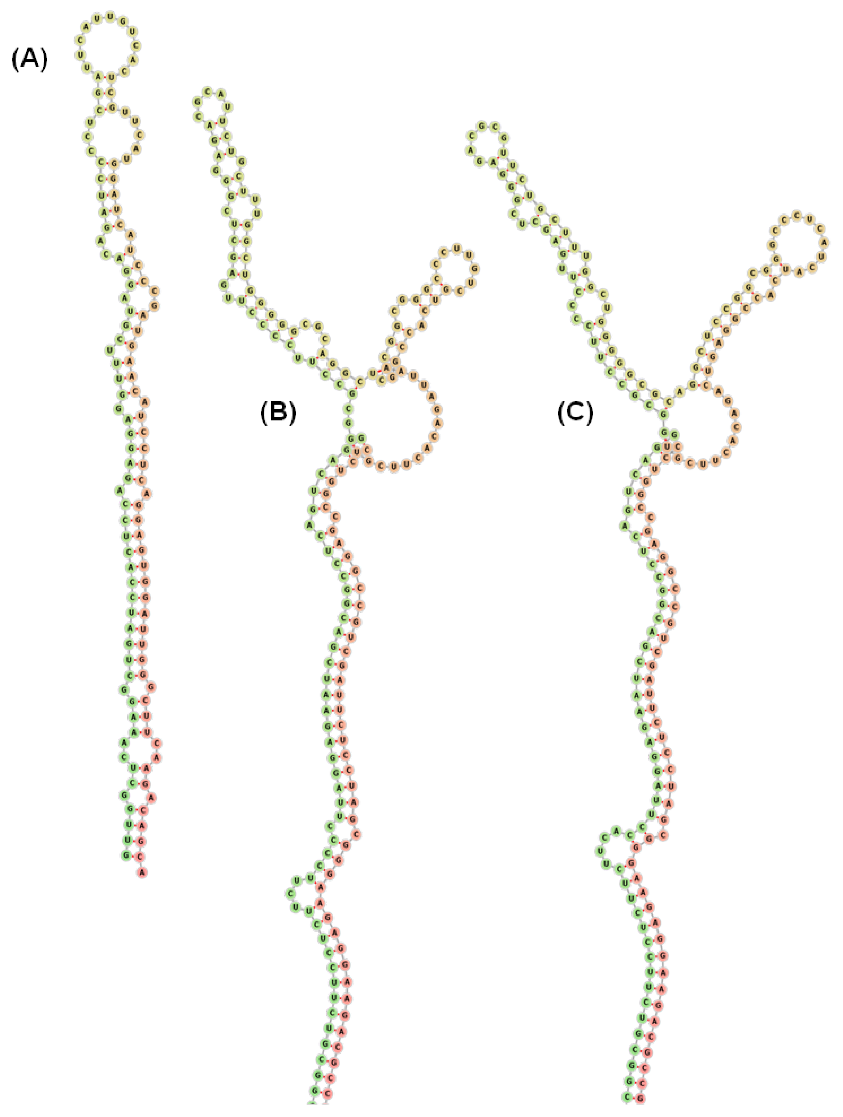 Agriculture 13 00651 g005