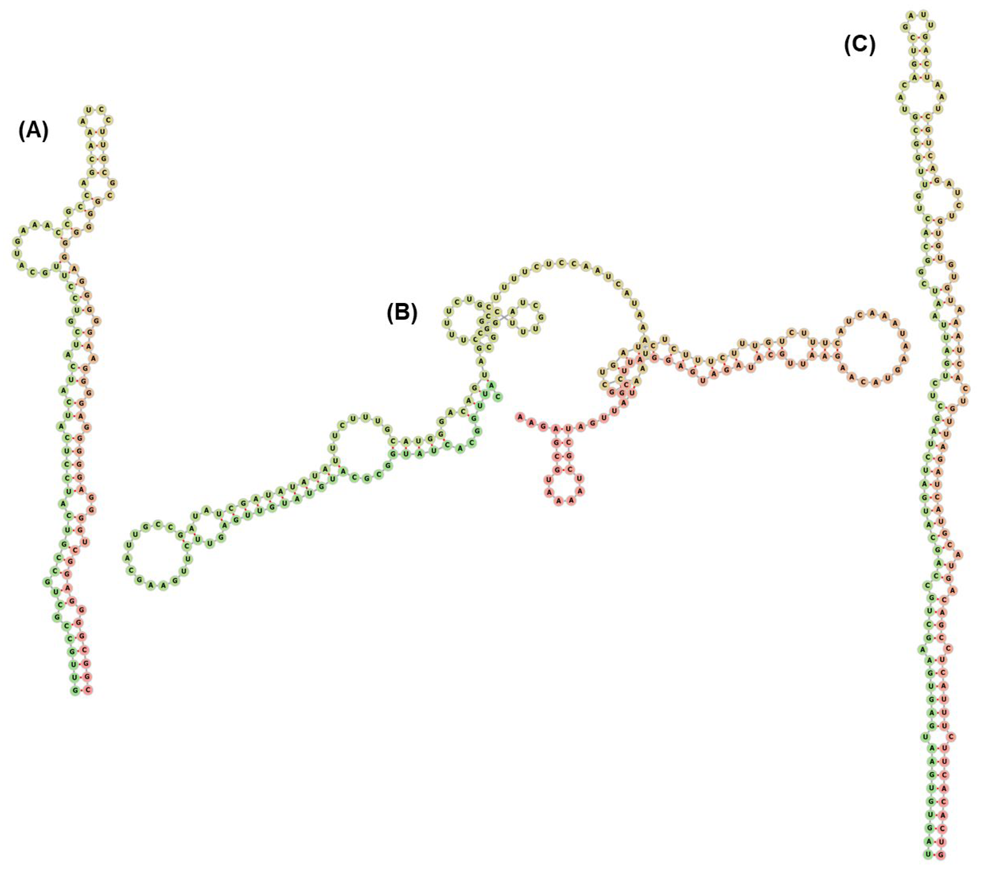 Agriculture 13 00651 g006