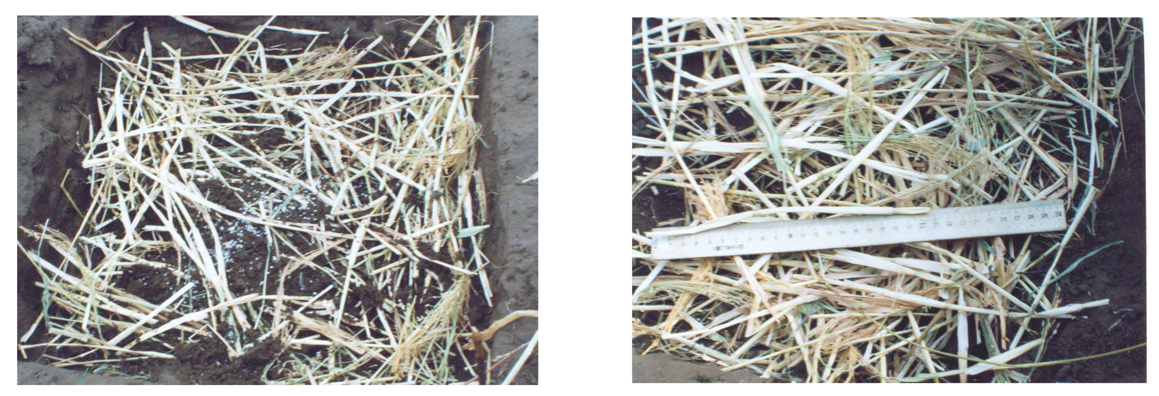 Agriculture 13 00655 g004