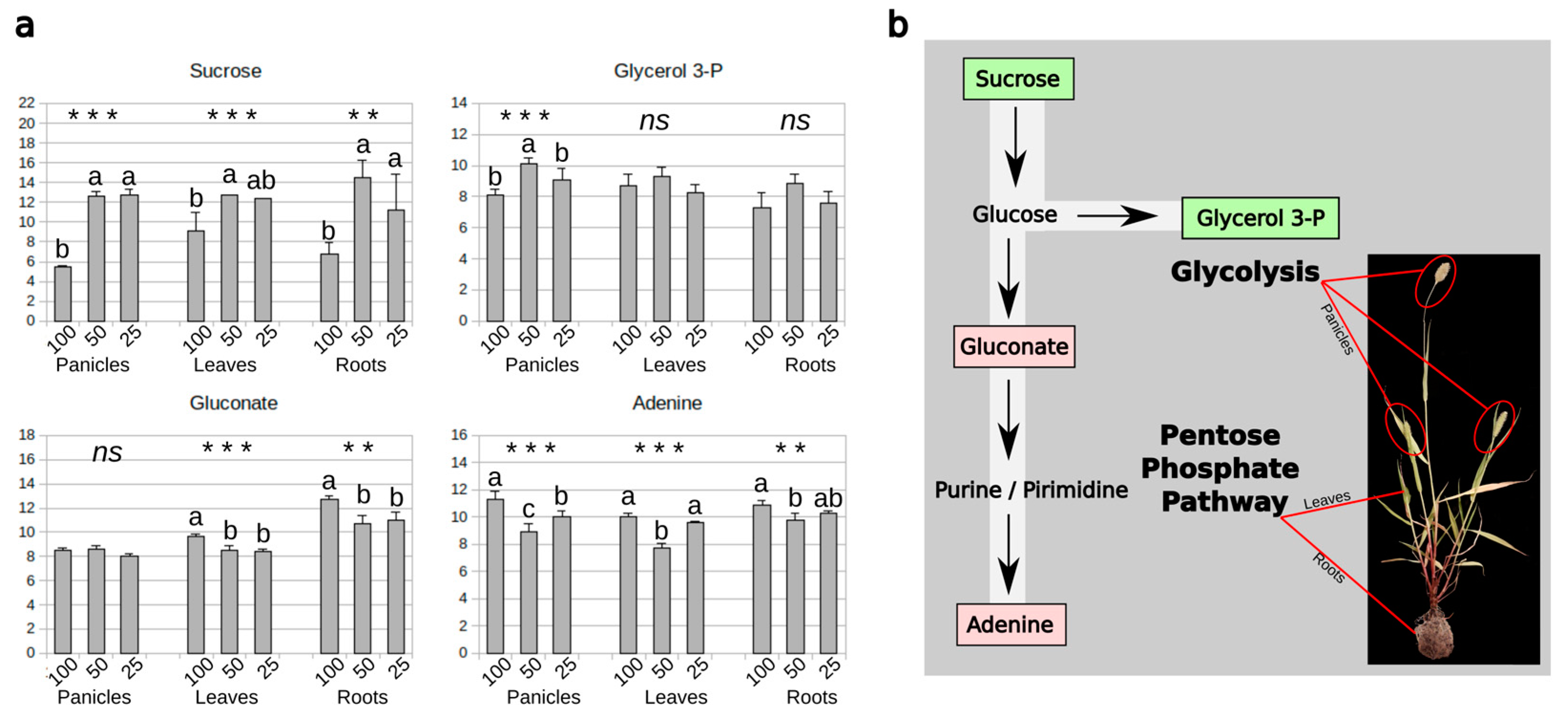 Agriculture 13 00660 g004 Agriculture 13 00660 g004