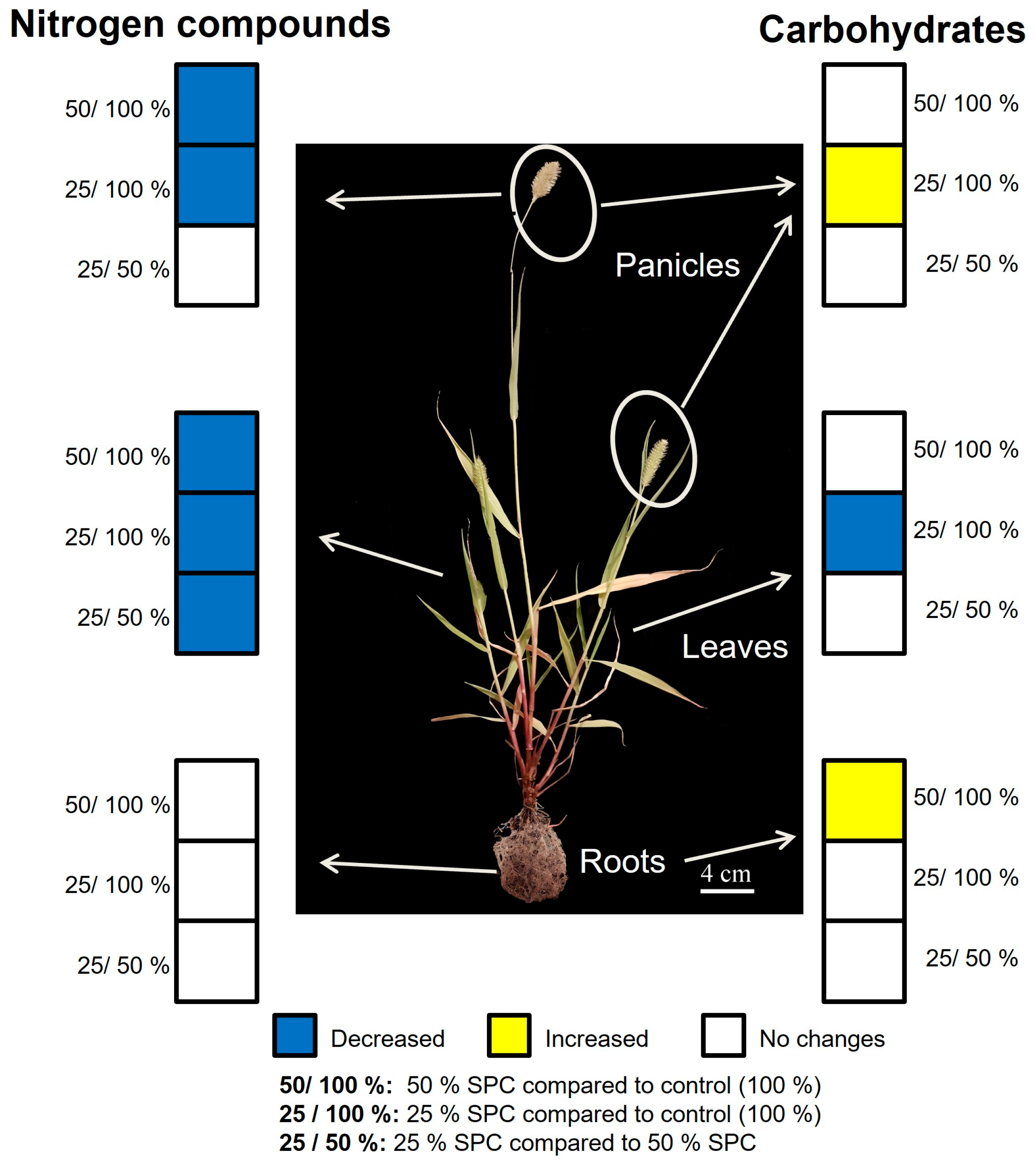 Agriculture 13 00660 g007 Agriculture 13 00660 g007
