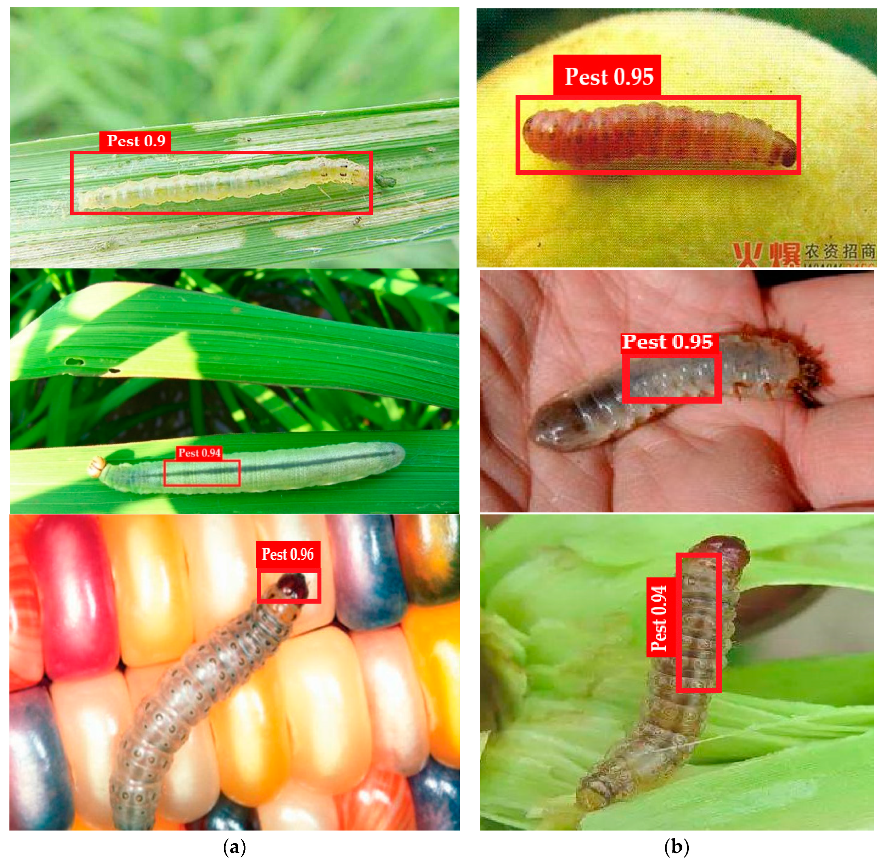 Agriculture 13 00662 g004 Agriculture 13 00662 g004