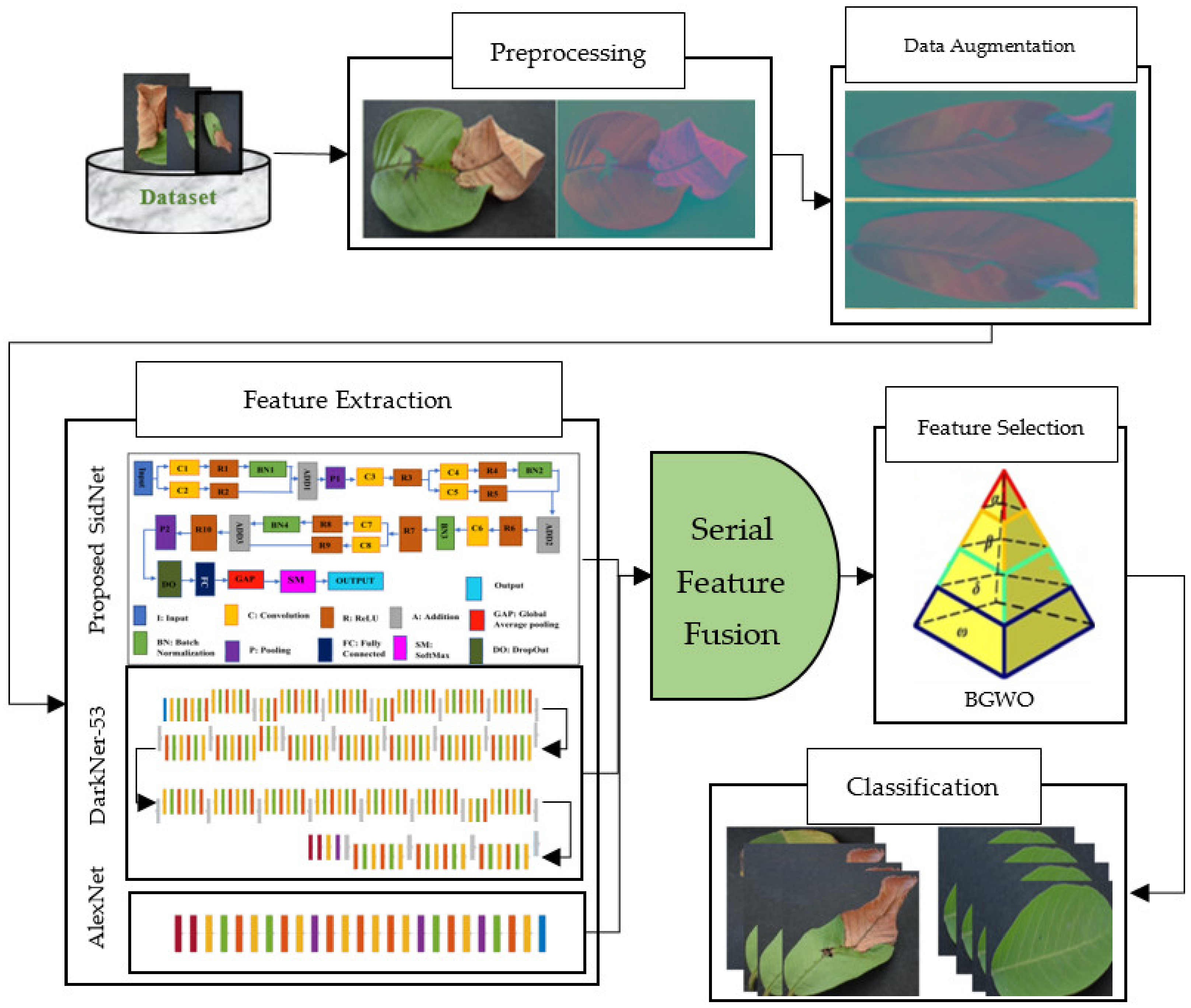 Agriculture 13 00667 g001