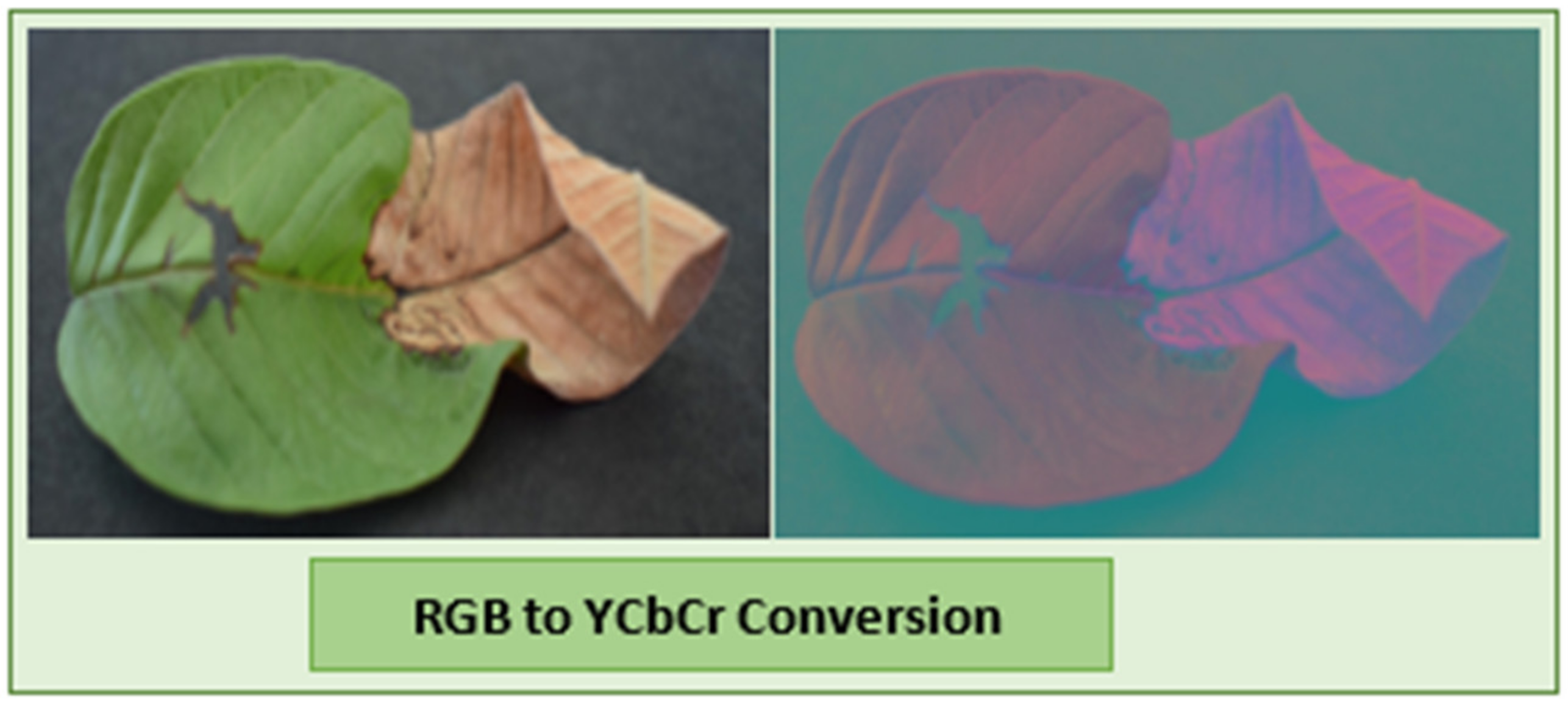 Agriculture 13 00667 g002