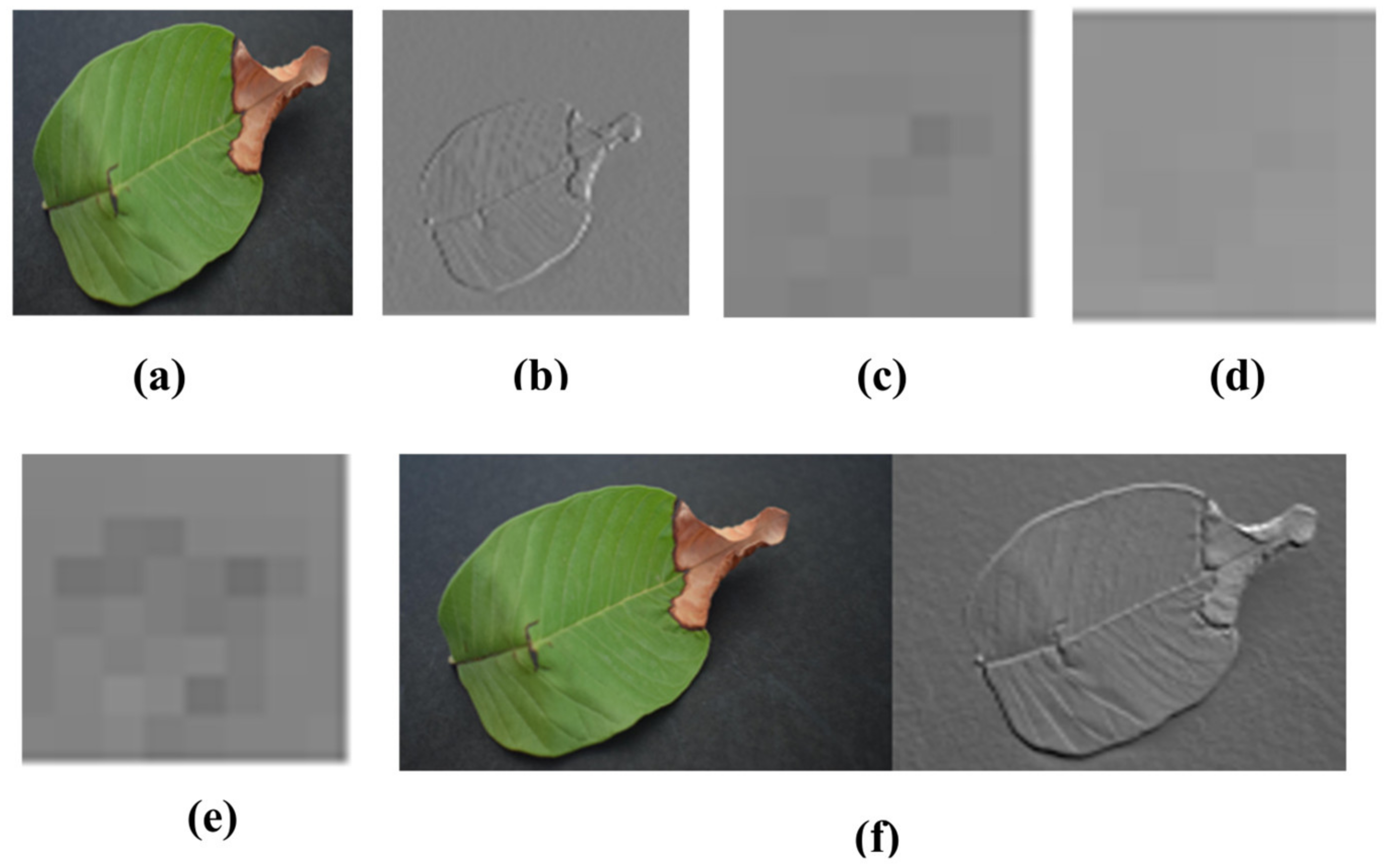 Agriculture 13 00667 g005