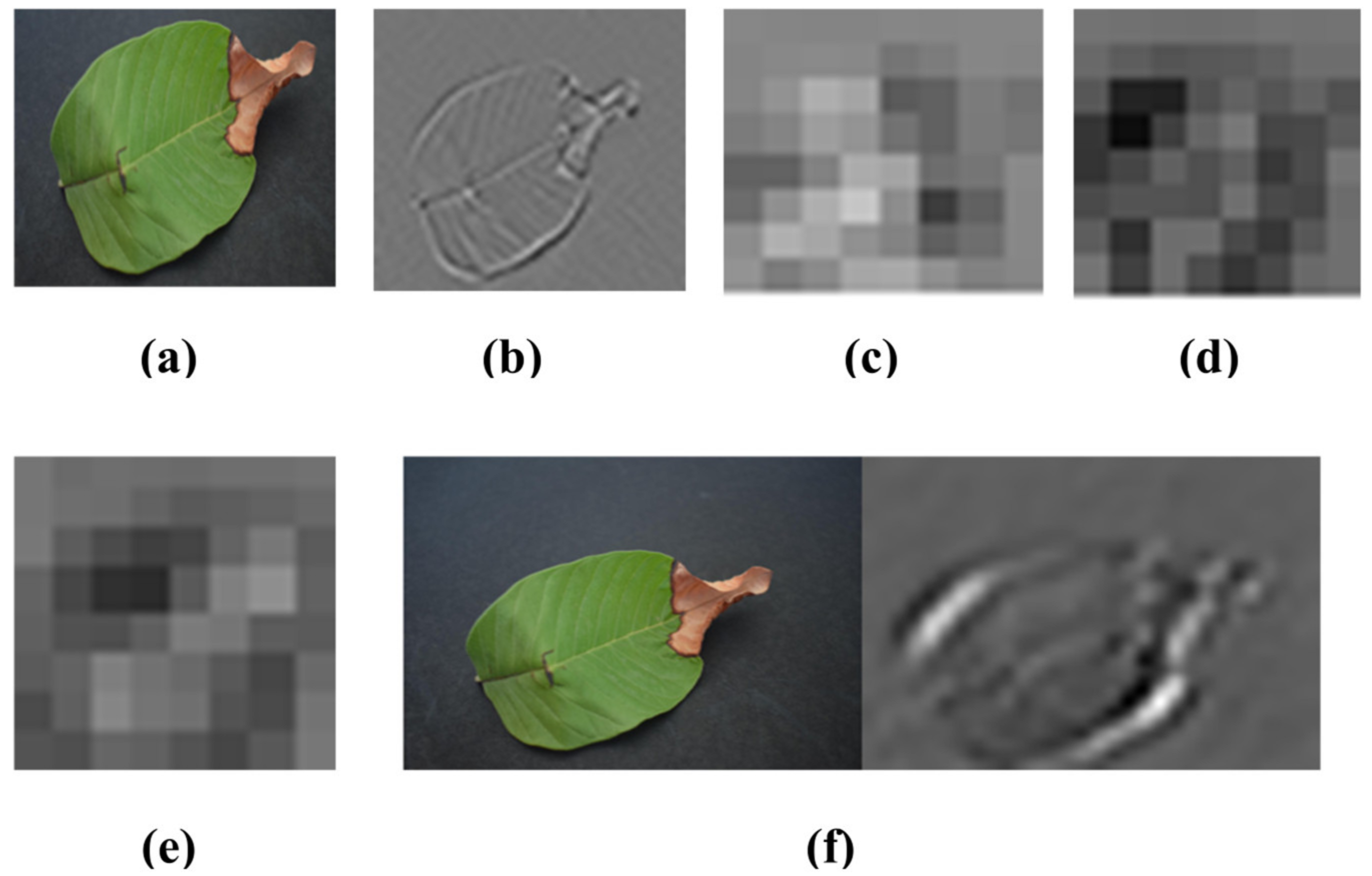 Agriculture 13 00667 g006