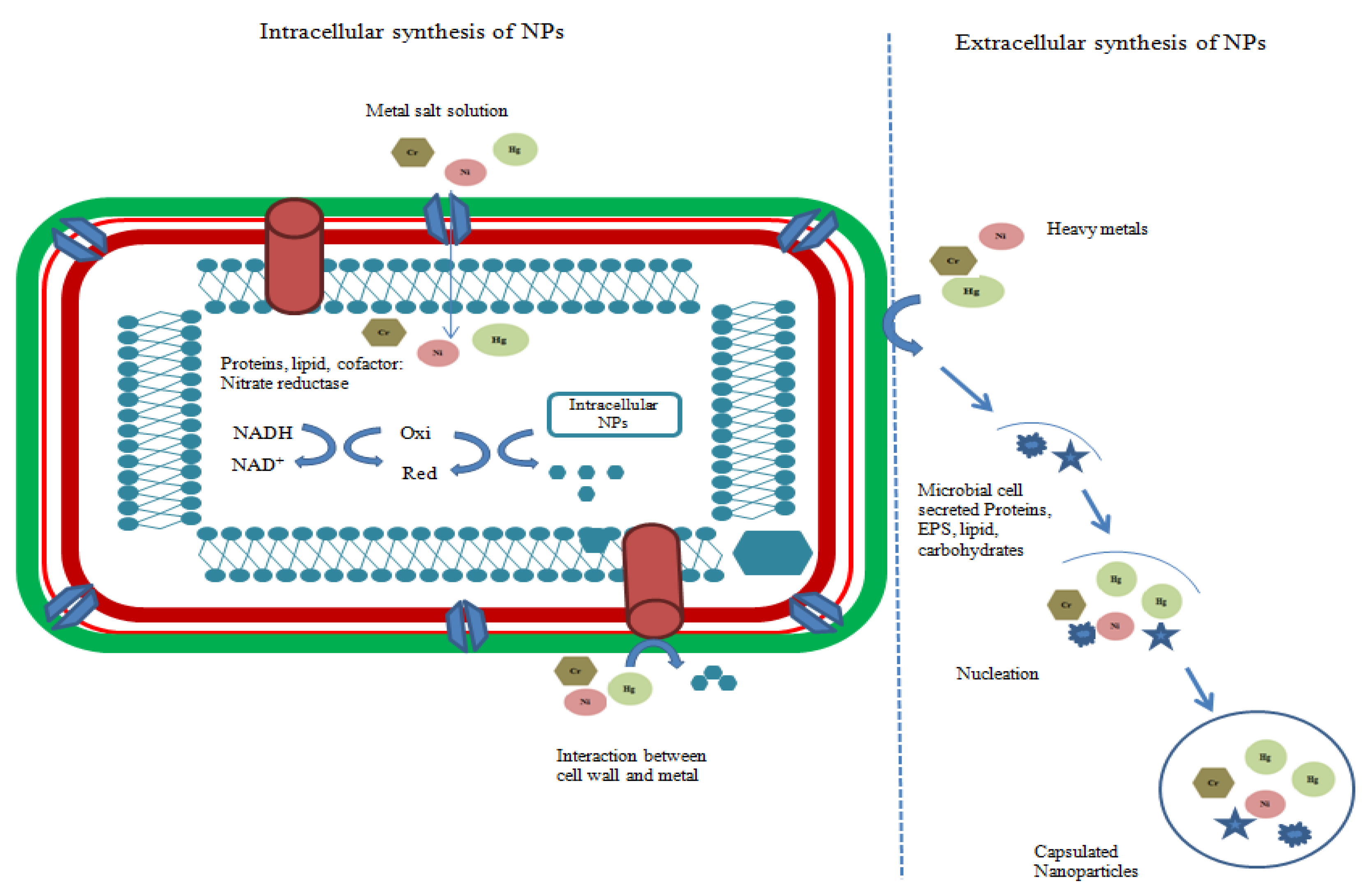 Agriculture 13 00668 g002 Agriculture 13 00668 g002