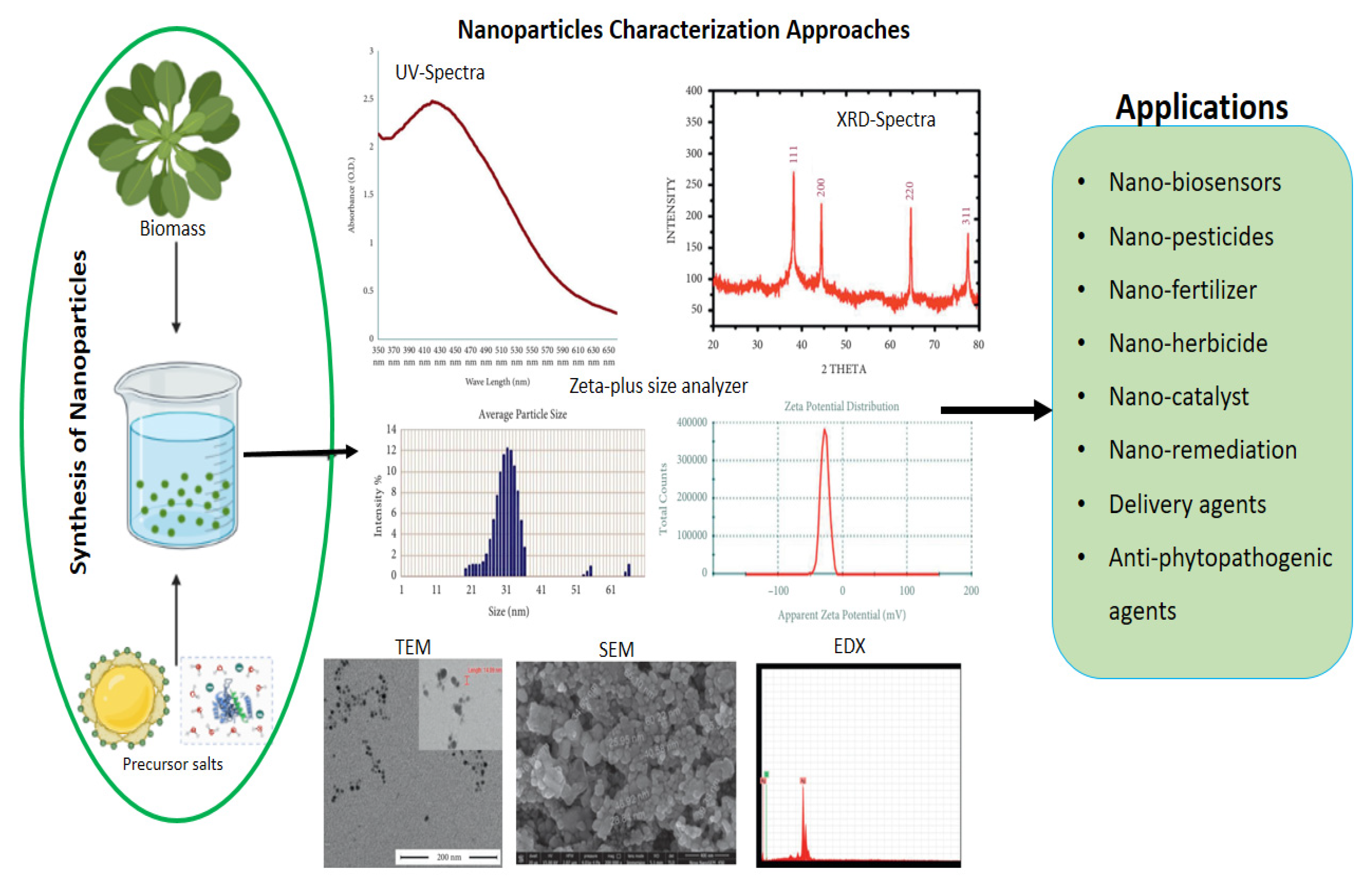 Agriculture 13 00668 g003 Agriculture 13 00668 g003