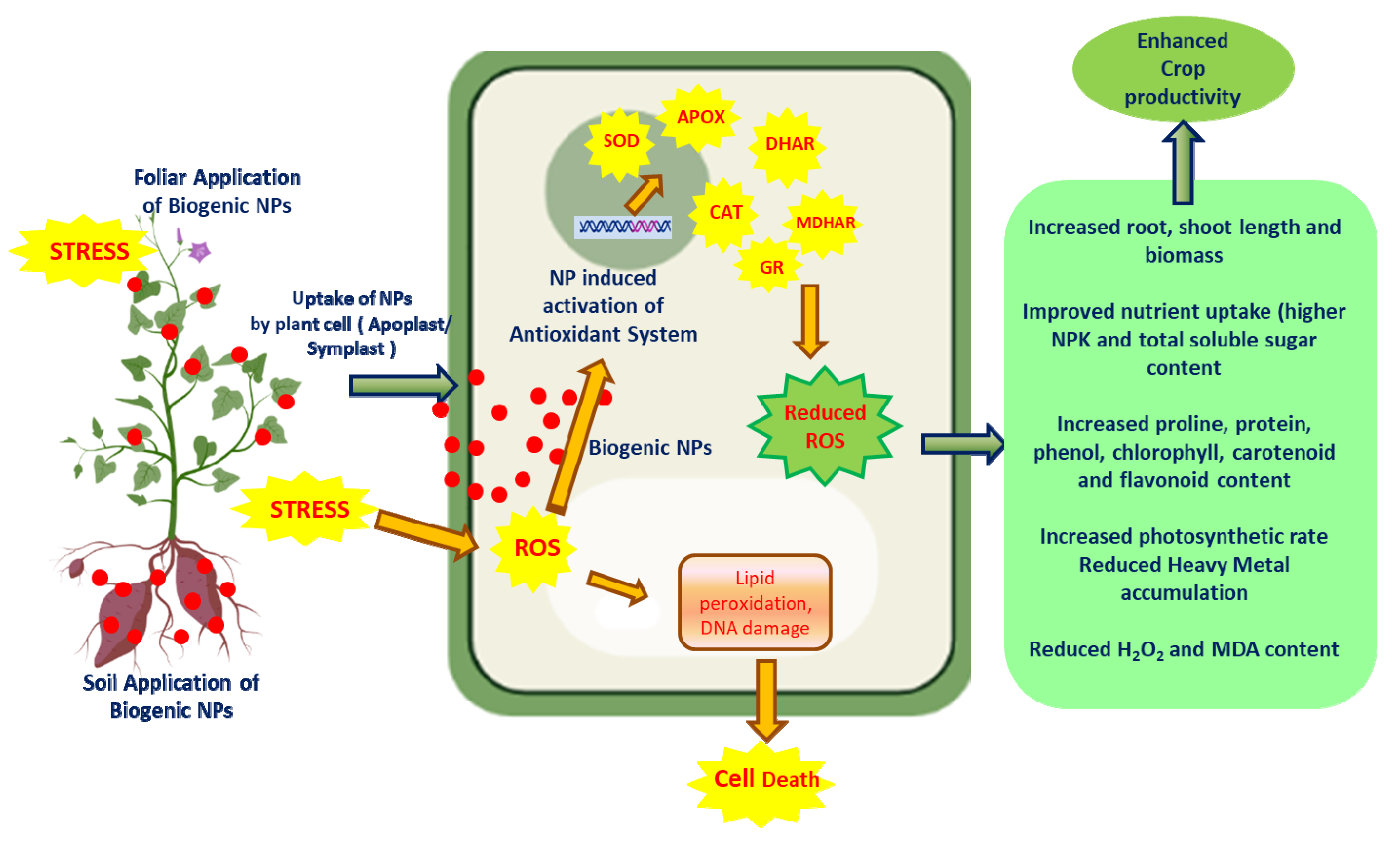 Agriculture 13 00668 g004 Agriculture 13 00668 g004