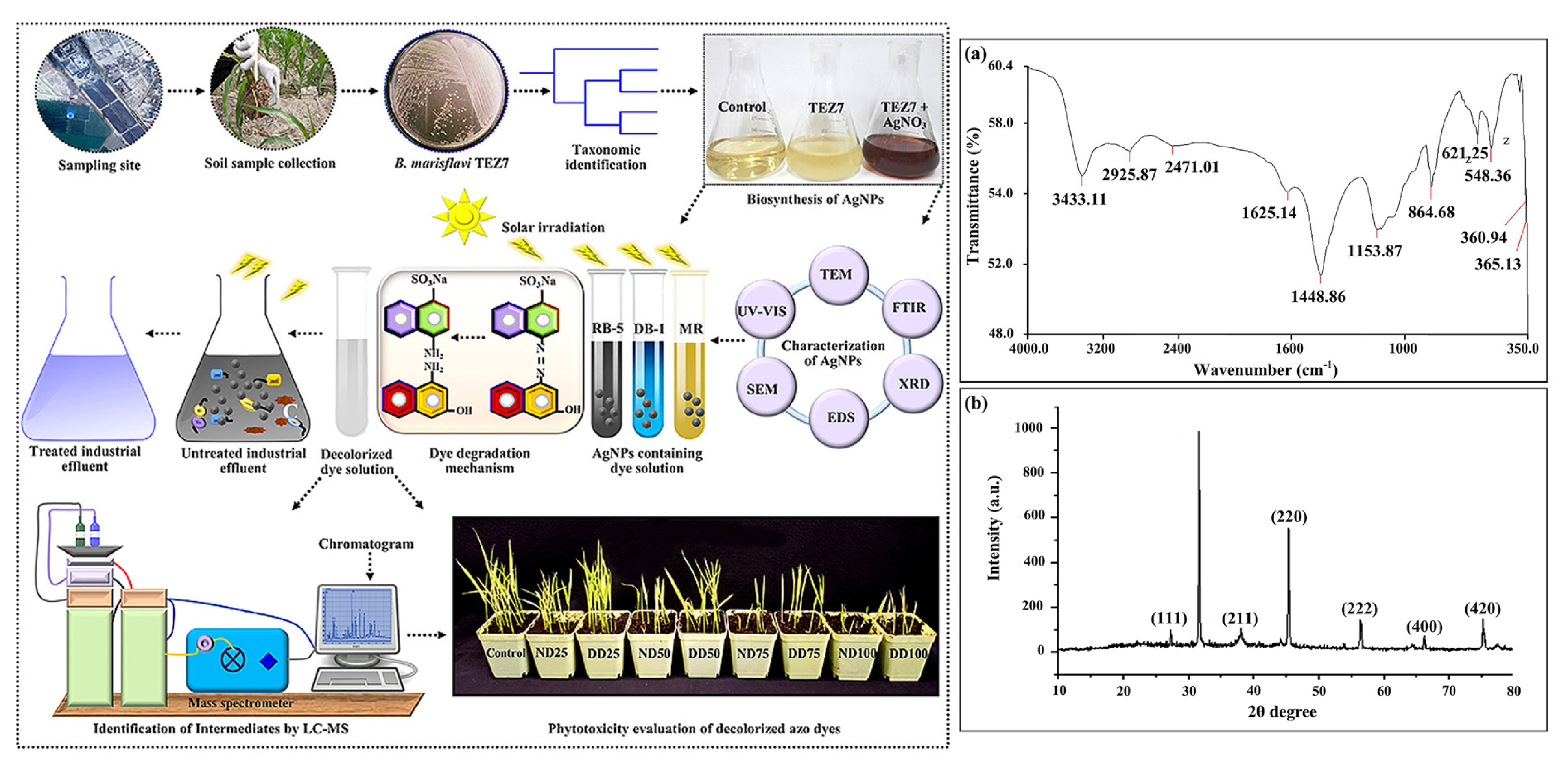 Agriculture 13 00668 g006 Agriculture 13 00668 g006