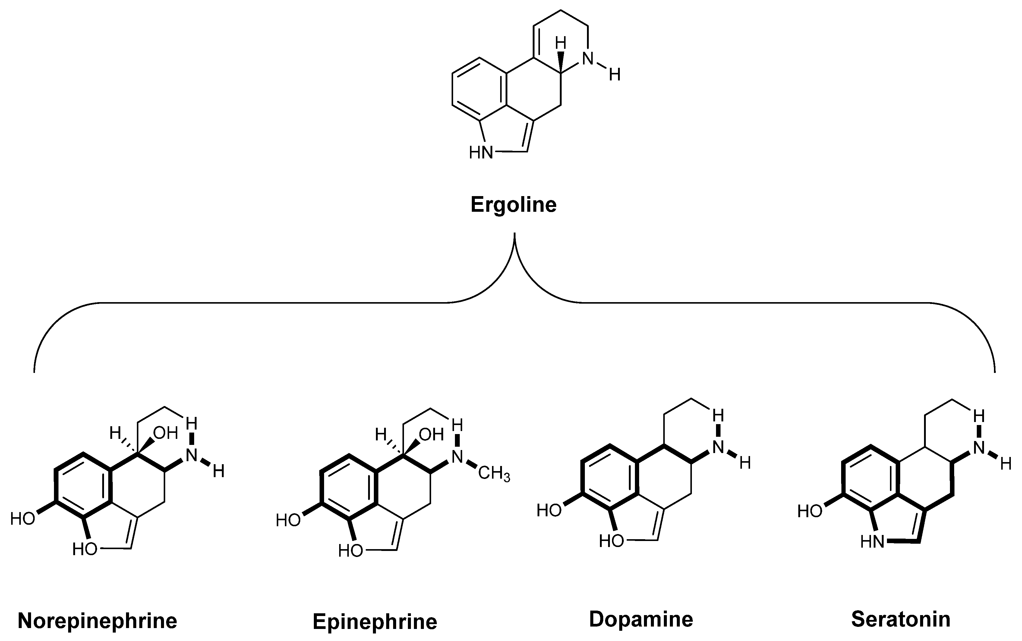 Agriculture 13 00672 g002