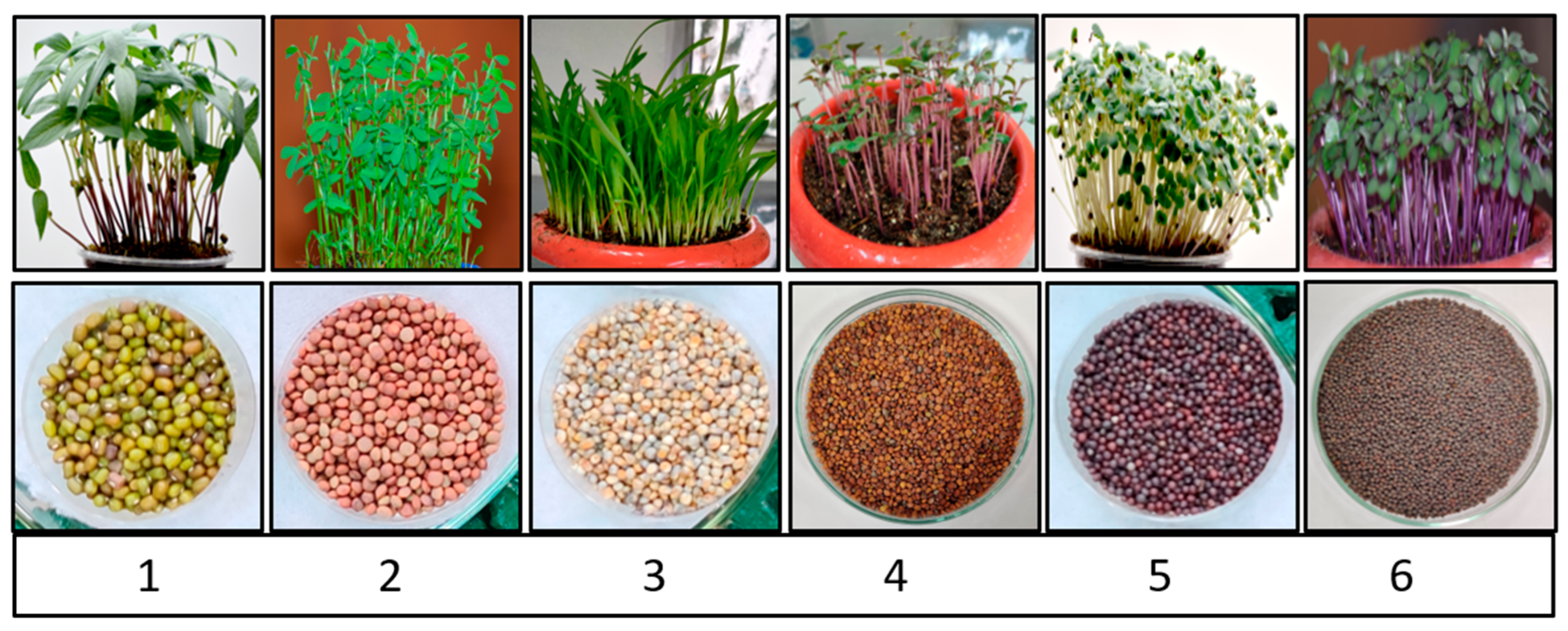 Agriculture 13 00676 g001