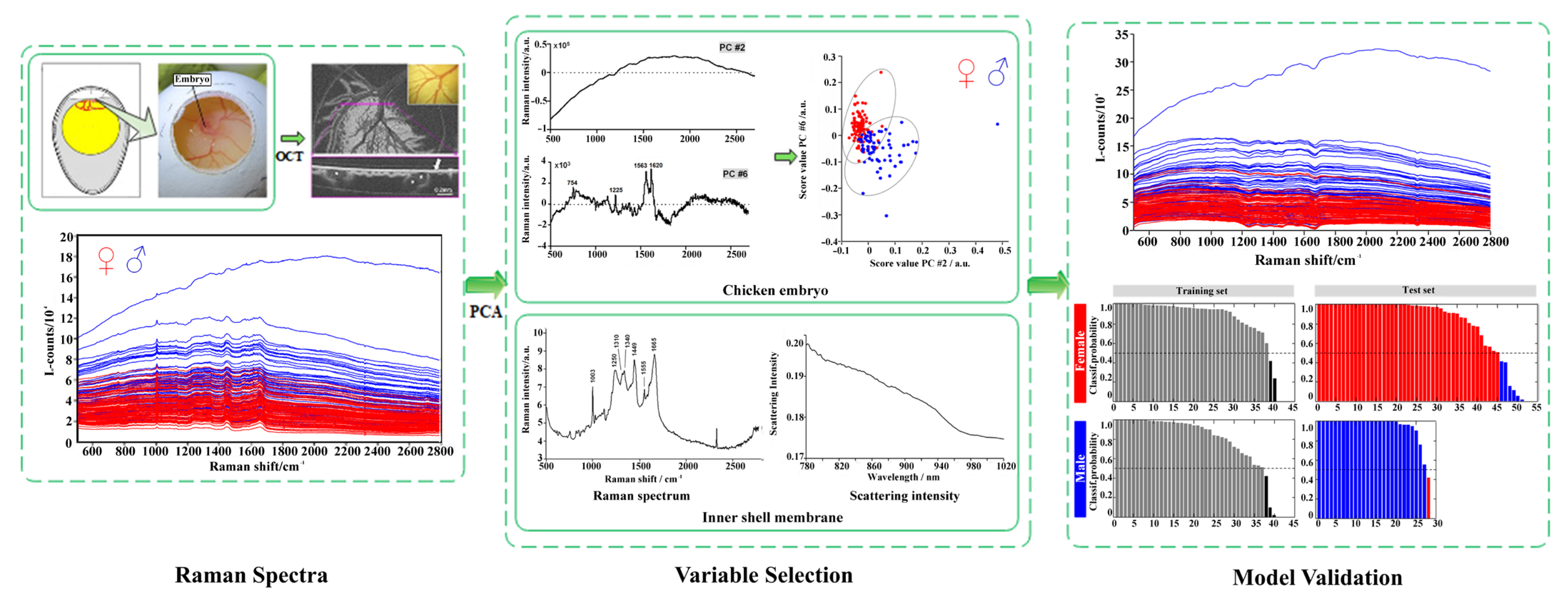 Agriculture 13 00677 g003 Agriculture 13 00677 g003