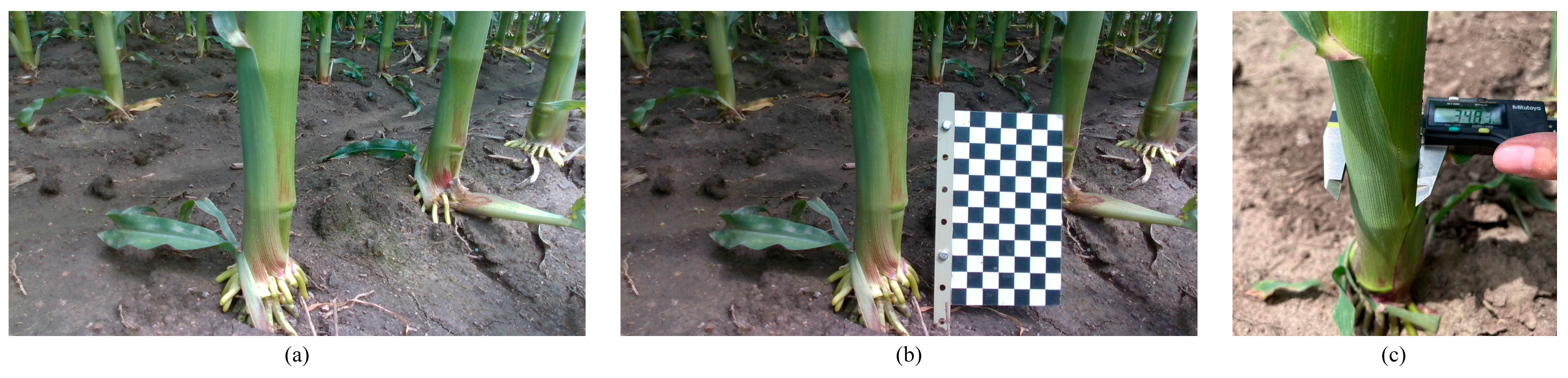 Agriculture 13 00678 g002 Agriculture 13 00678 g002