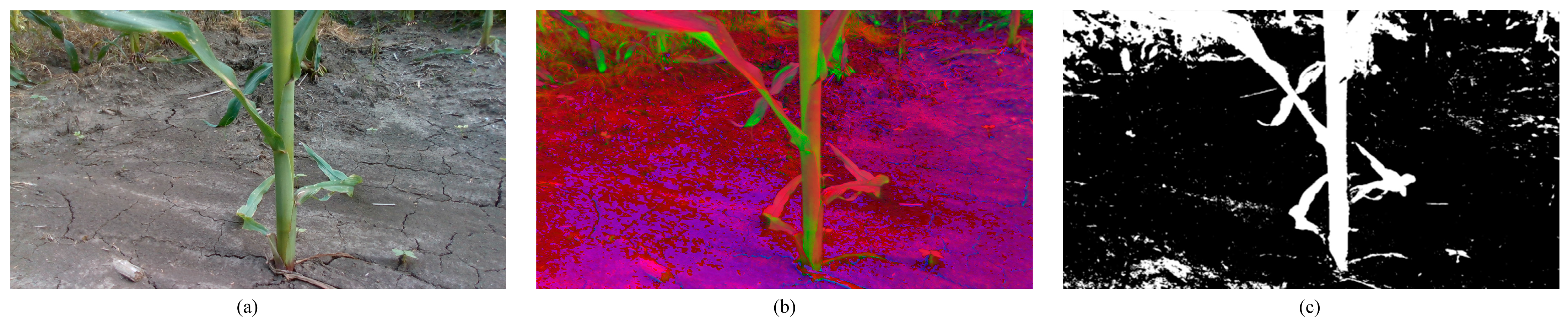 Agriculture 13 00678 g003 Agriculture 13 00678 g003