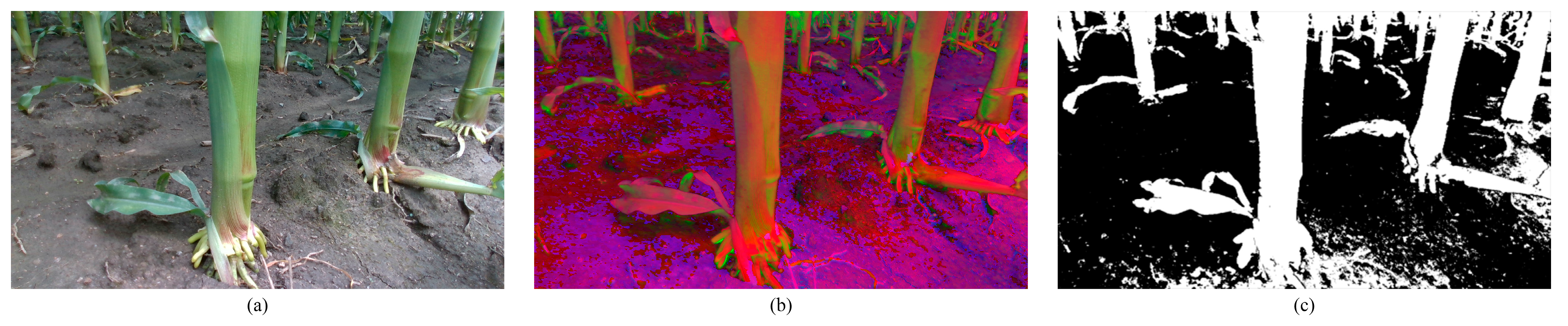 Agriculture 13 00678 g004 Agriculture 13 00678 g004