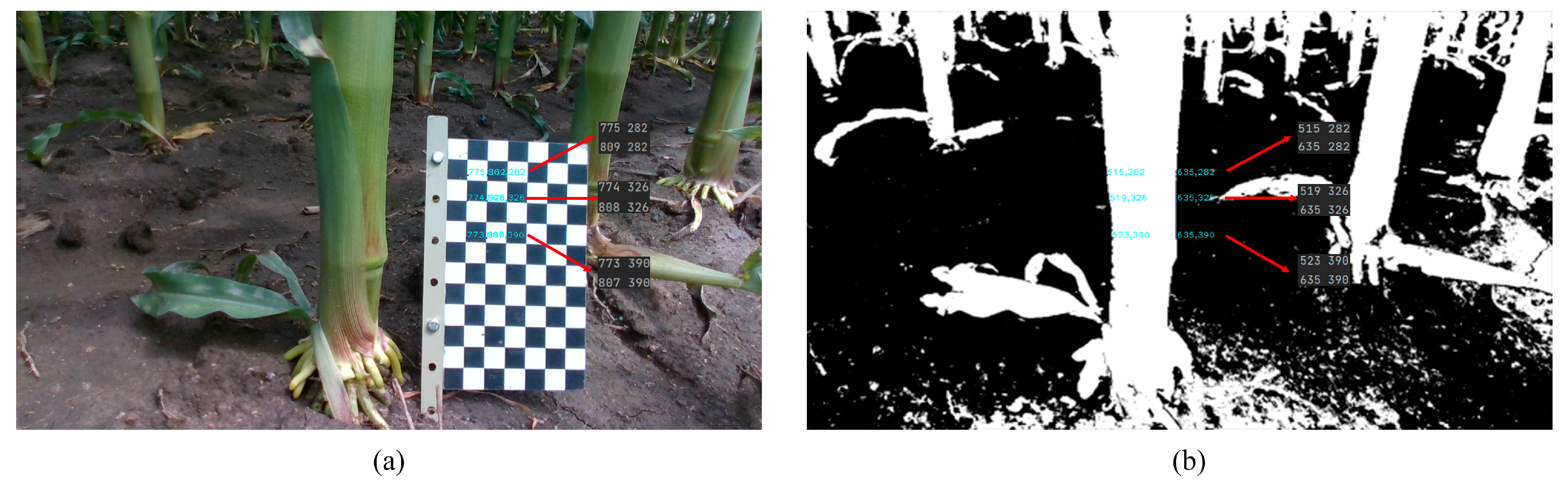 Agriculture 13 00678 g006 Agriculture 13 00678 g006