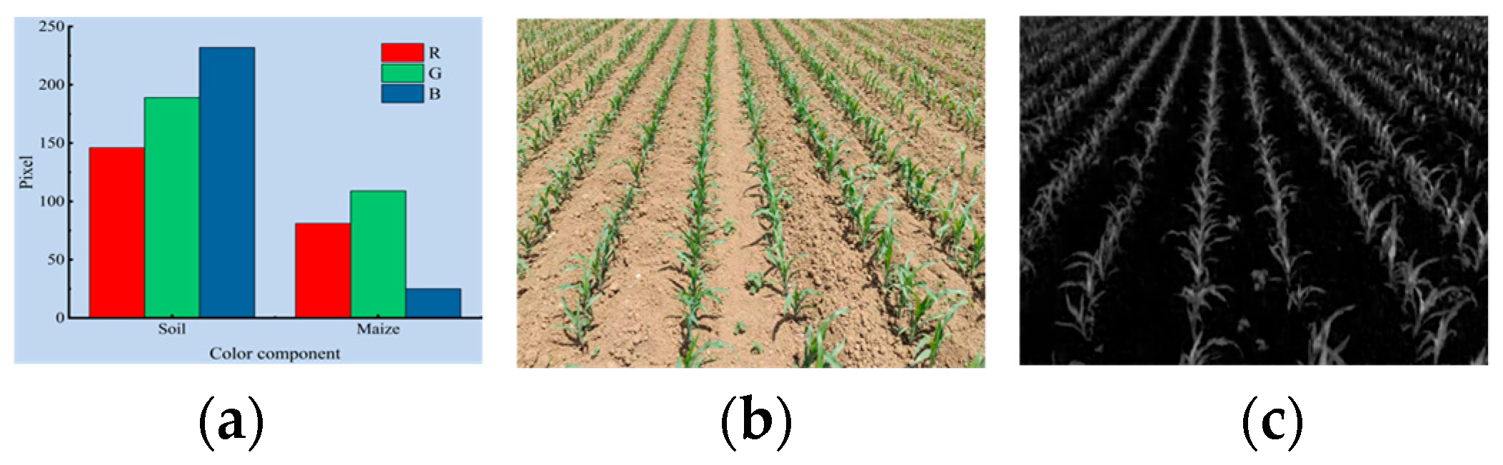 Agriculture 13 00691 g004 Agriculture 13 00691 g004