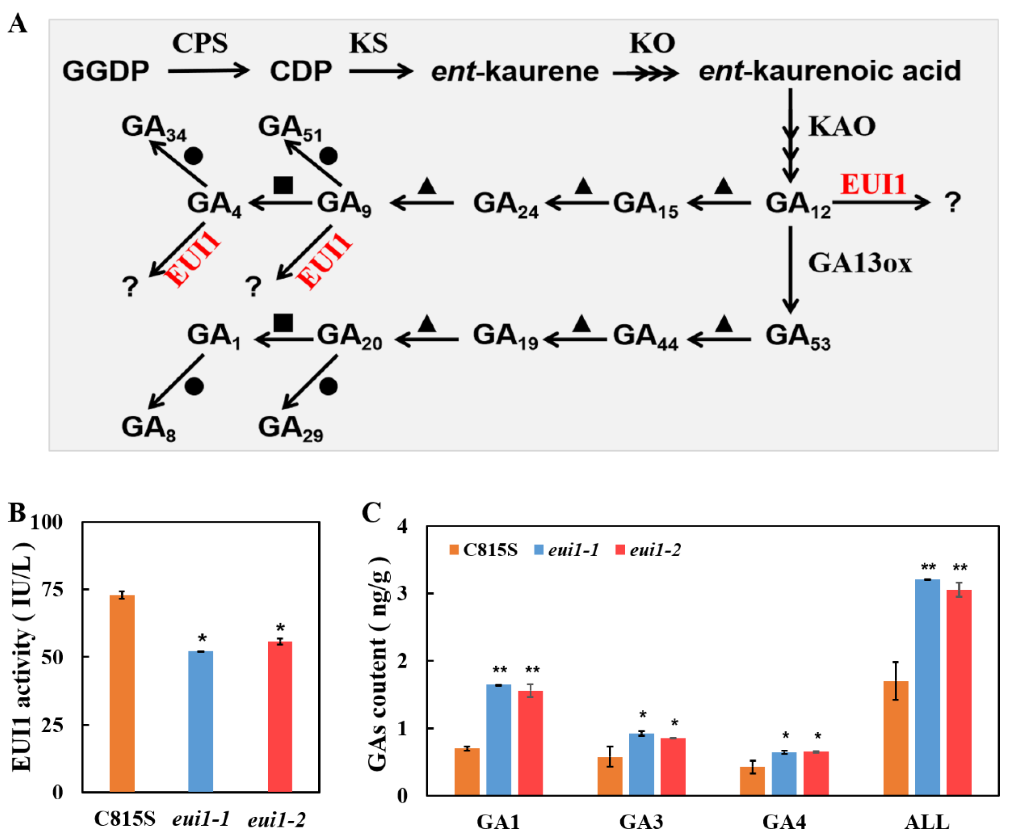 Agriculture 13 00693 g004