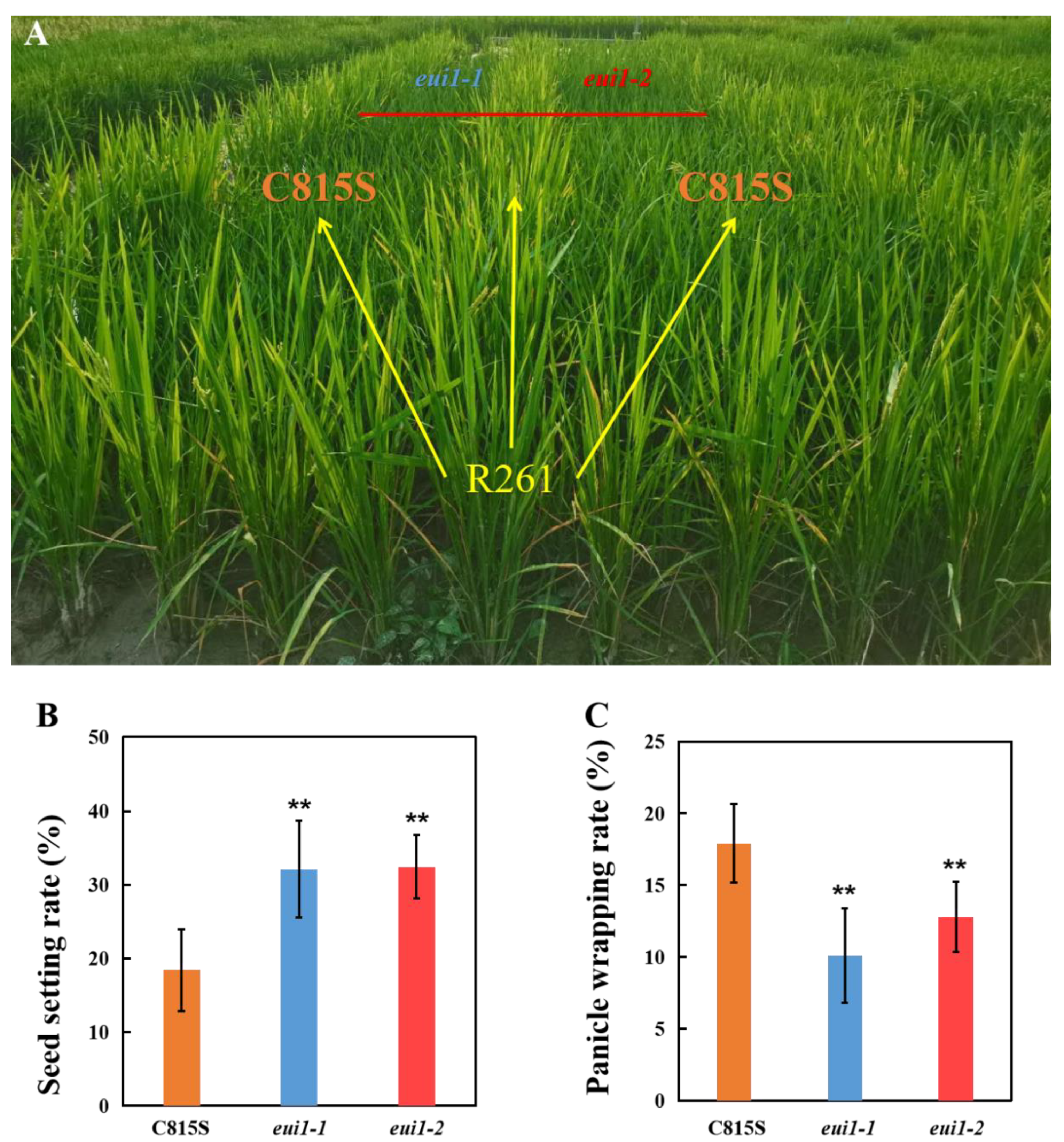 Agriculture 13 00693 g005