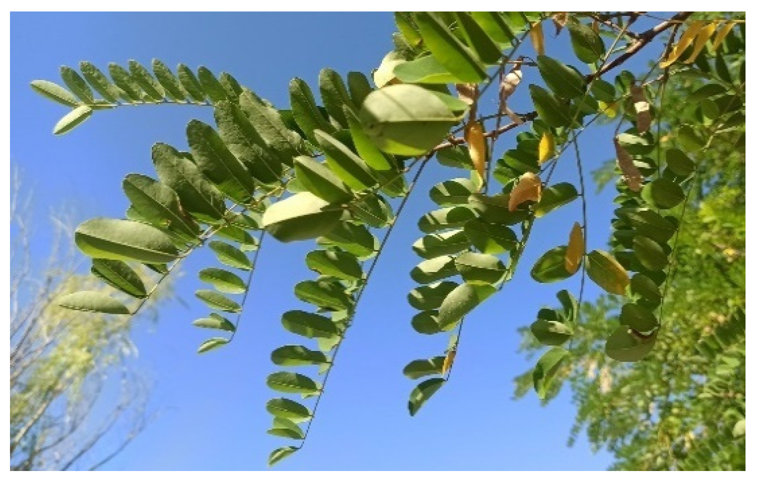 Agriculture 13 00695 g006